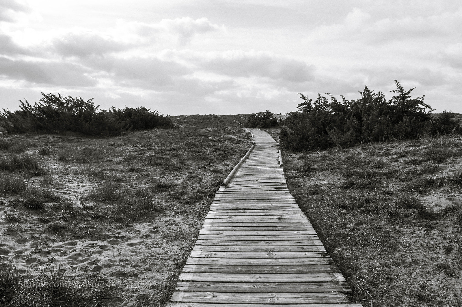 Pentax K-3 sample photo. La lecciona photography