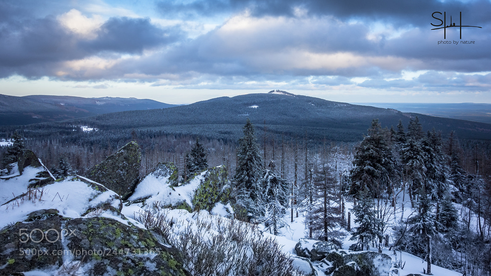 Sony Cyber-shot DSC-RX100 sample photo. Winterpanorama photography