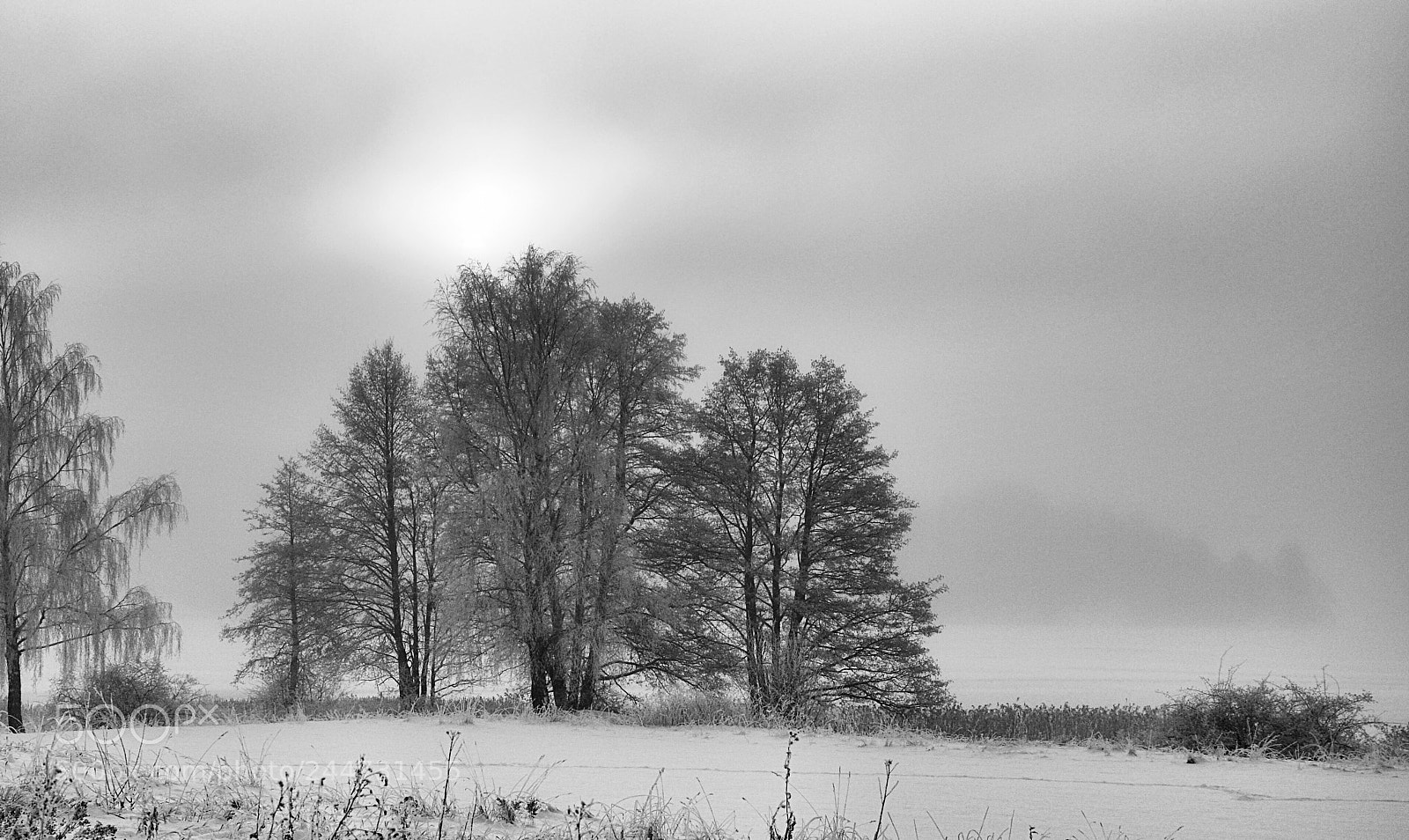 Nikon D90 sample photo. Morgonsol photography