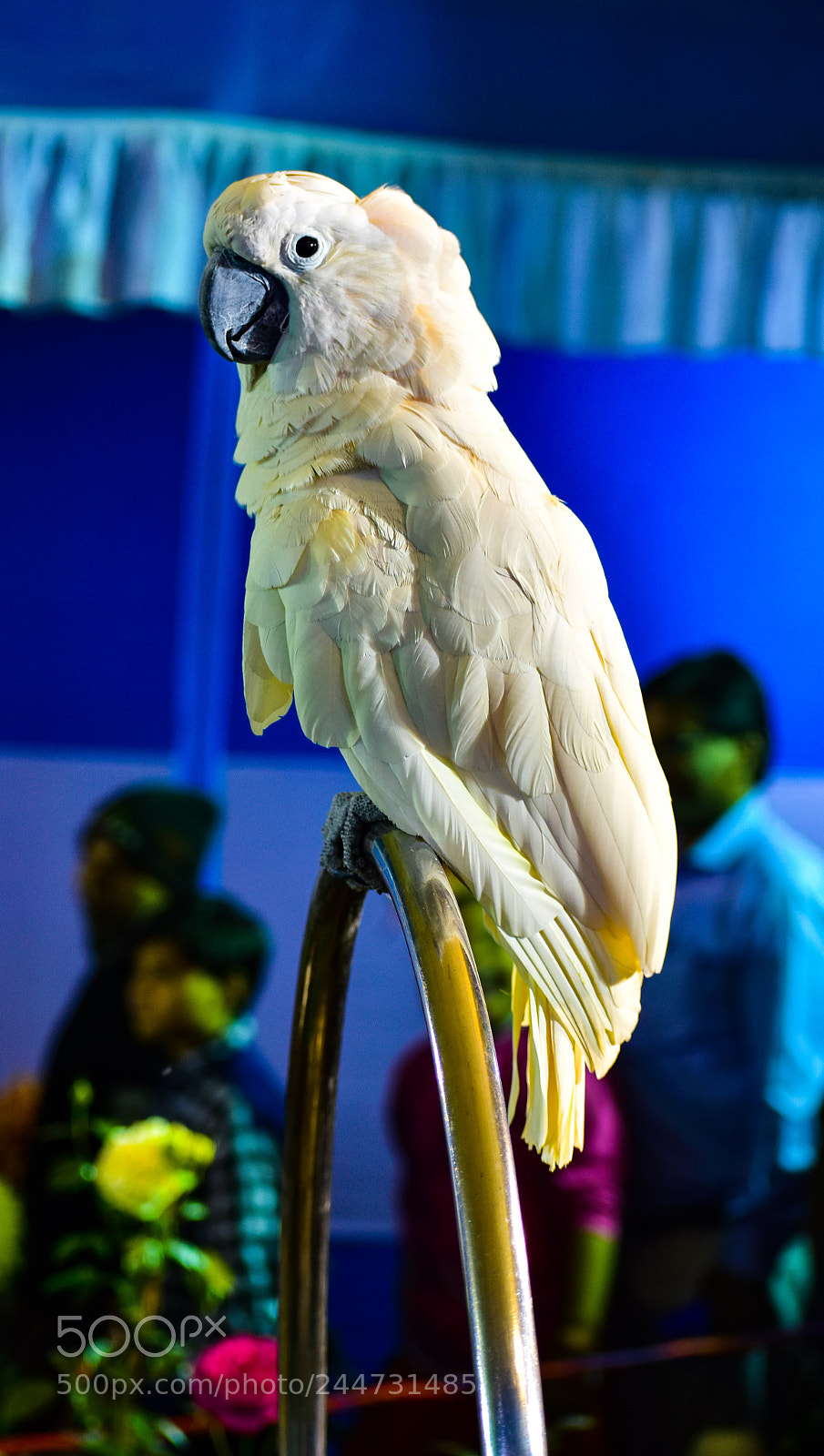 Nikon D3400 sample photo. Untitled photography