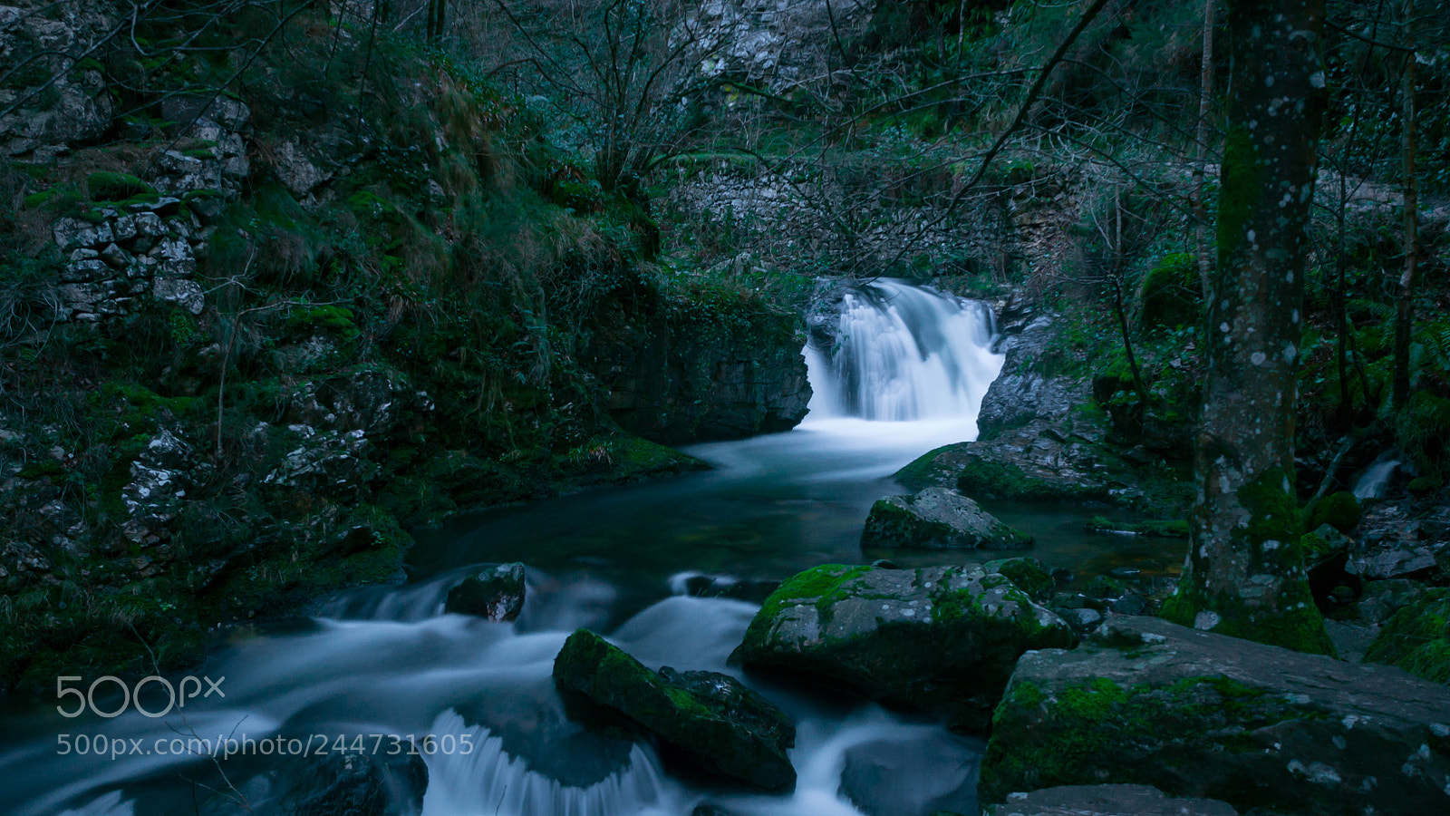Olympus OM-D E-M10 II sample photo. Ruta del alba photography