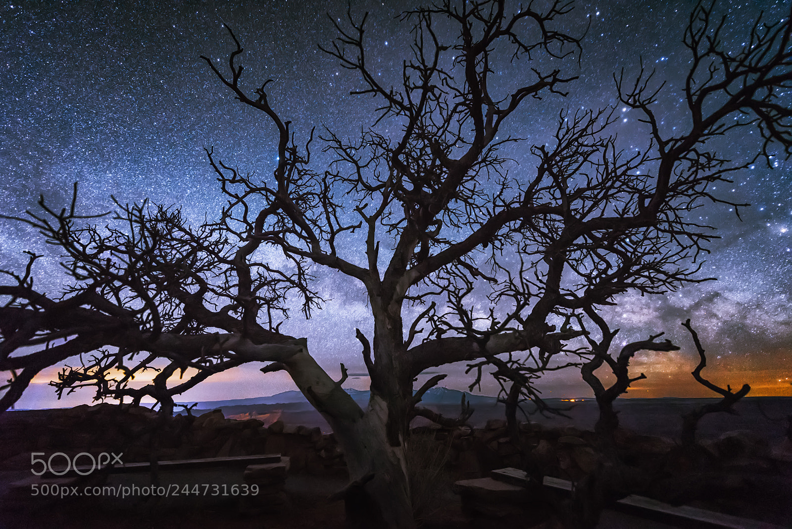 Nikon D810 sample photo. The milky way begins photography