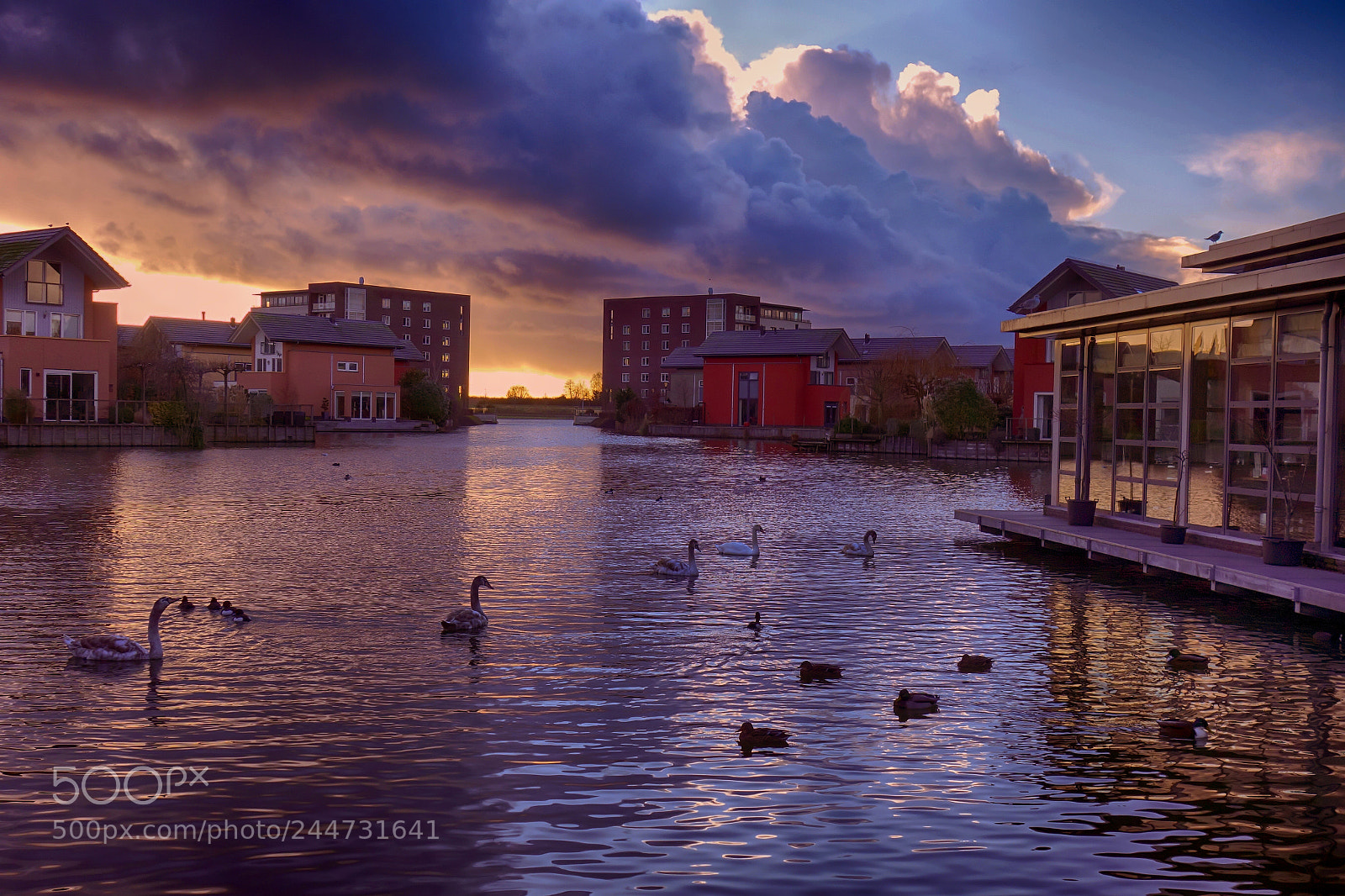 Sony Cyber-shot DSC-RX100 sample photo. Lake scene with swans photography