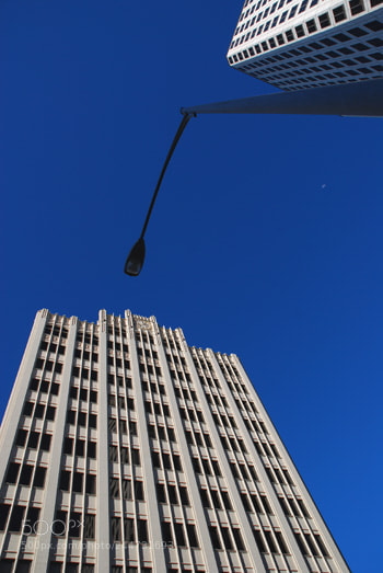 Nikon D60 sample photo. Td photography