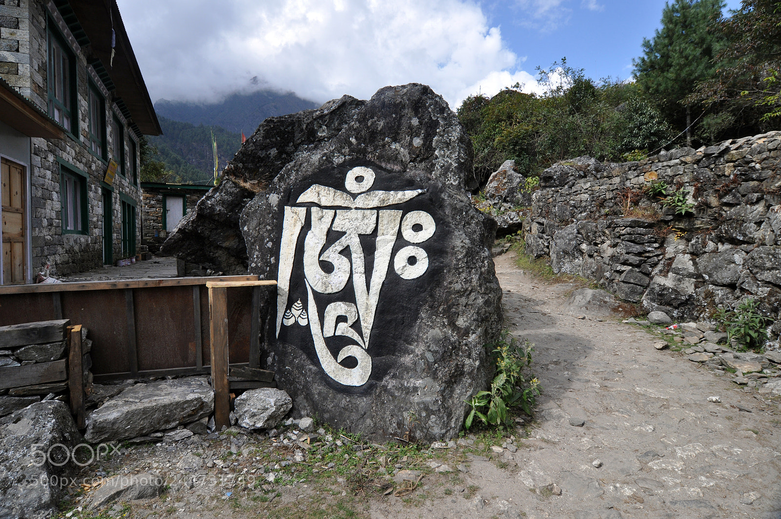 Nikon D90 sample photo. N pal sur la photography
