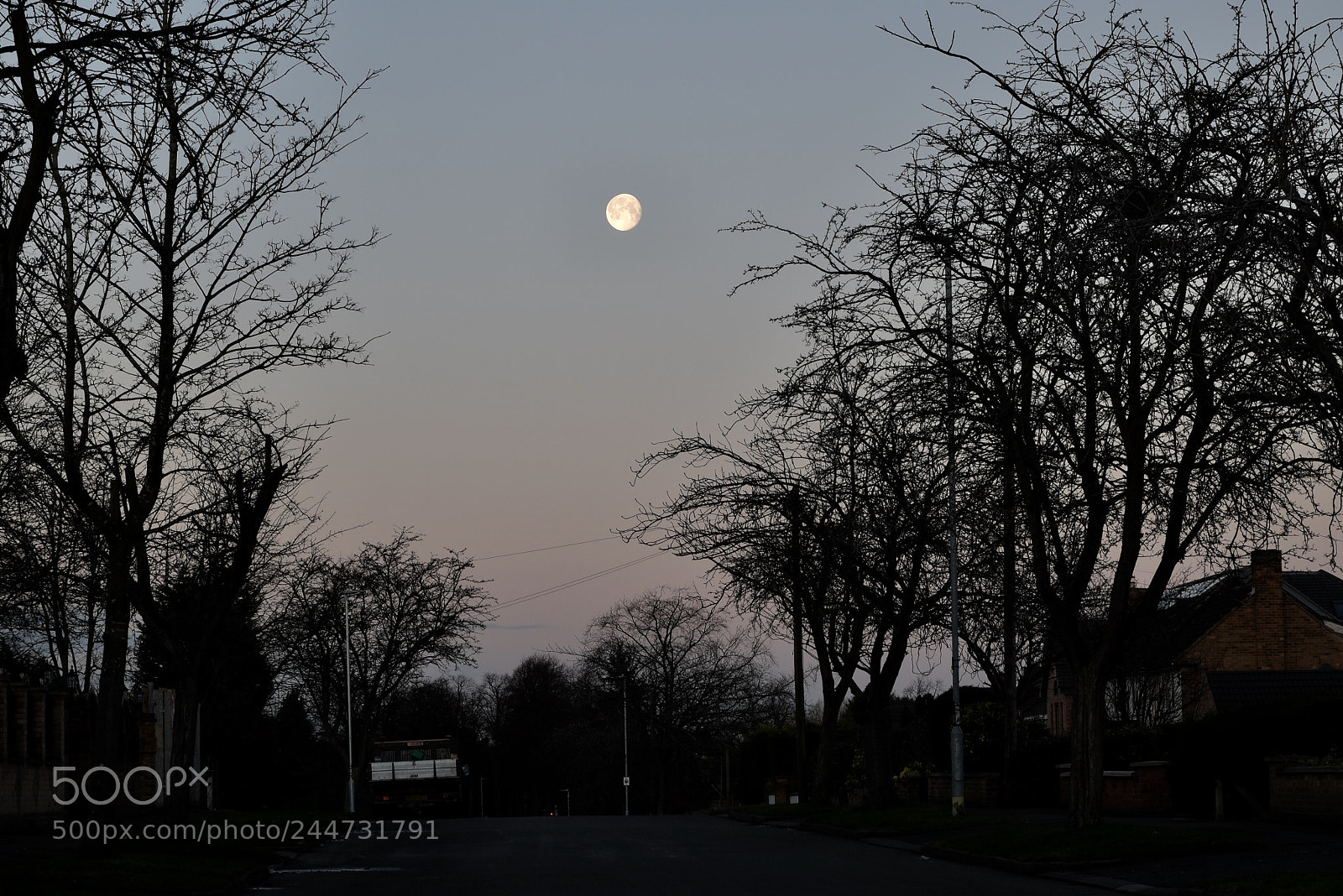Nikon D5600 sample photo. Morning moon photography