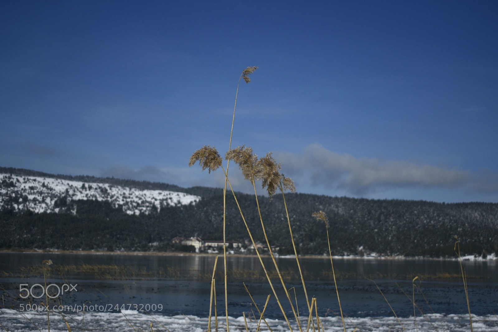 Nikon D3400 sample photo. Untitled photography