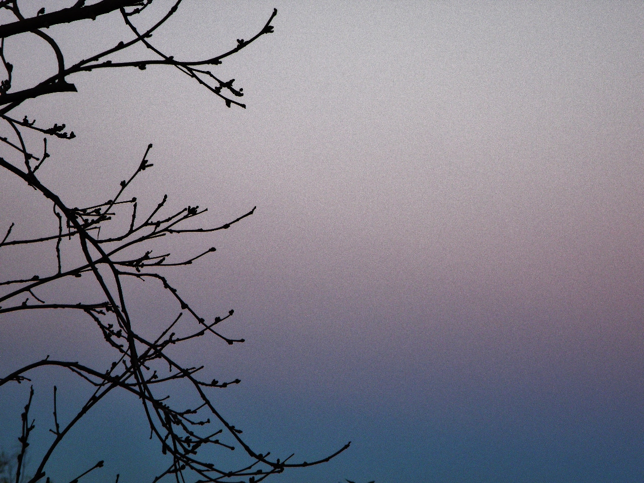 Olympus SP-565UZ sample photo. Blue hour photography