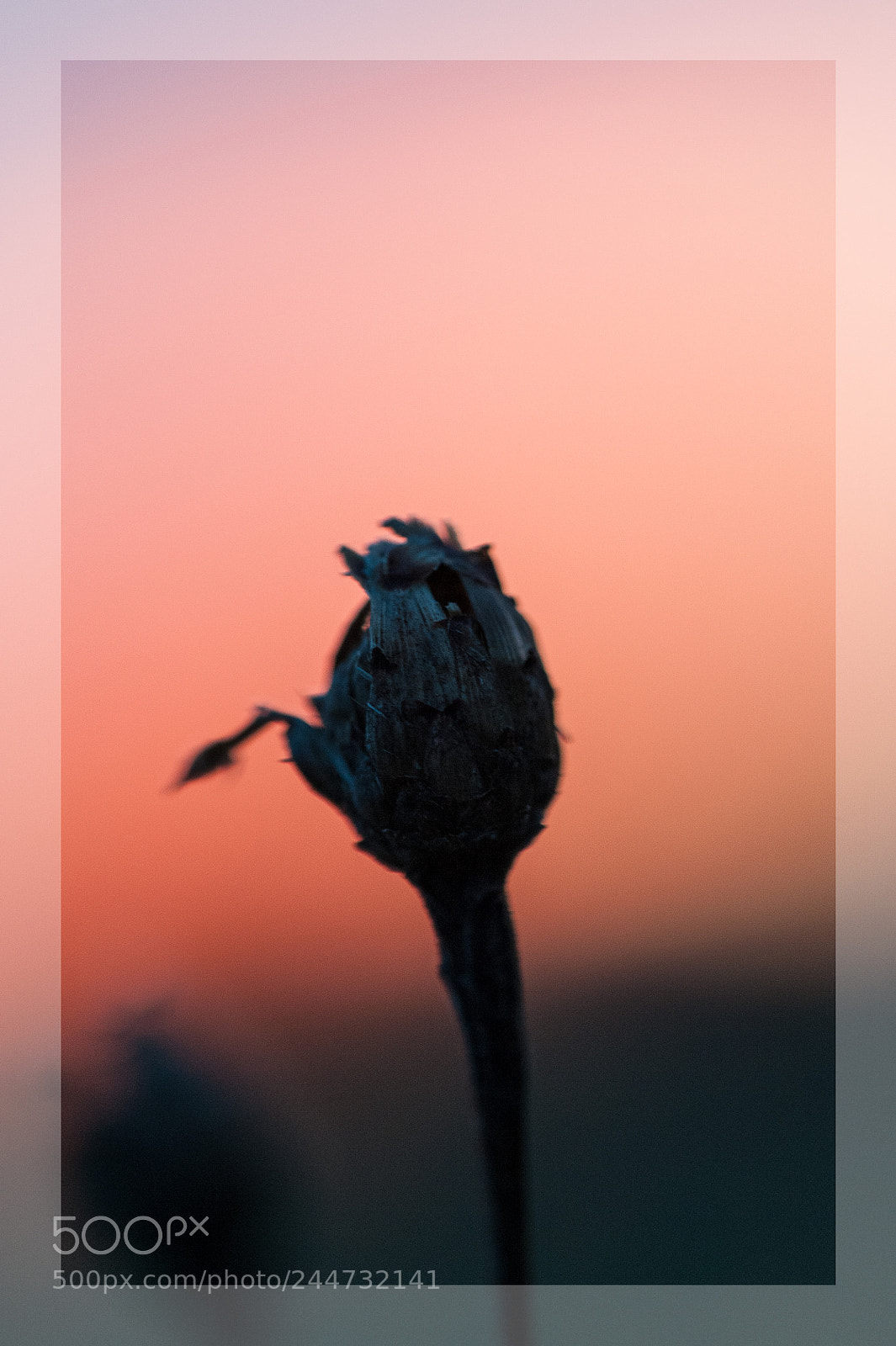 Nikon D700 sample photo. Wasvomsommerblieb photography