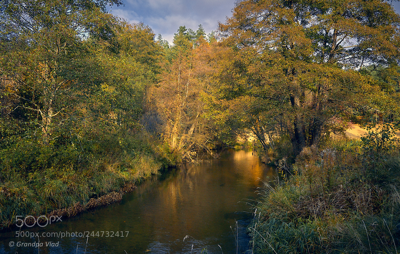 Canon EOS 1100D (EOS Rebel T3 / EOS Kiss X50) sample photo. An autumn reflections... photography