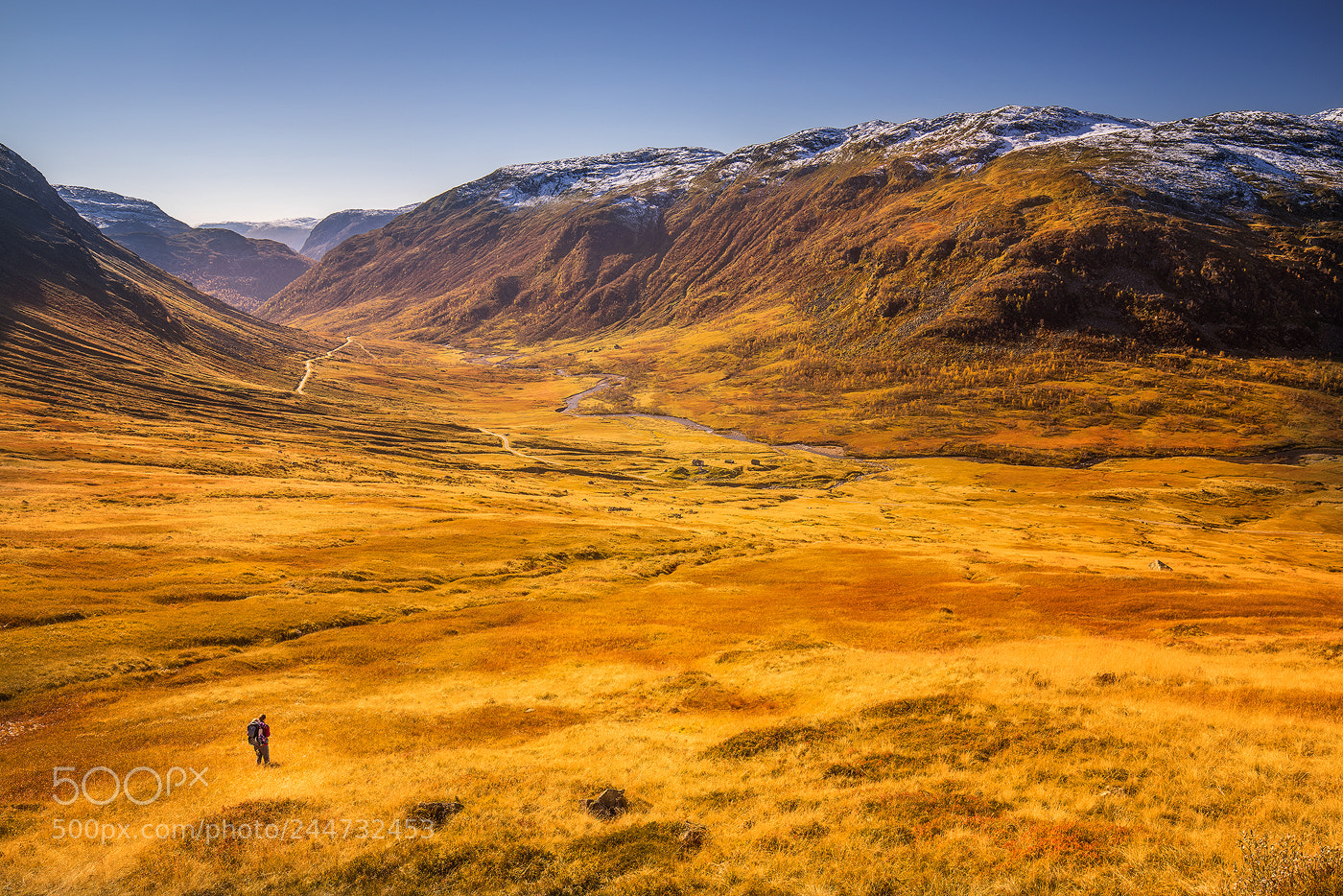 Sony a7R sample photo. Fall memories photography