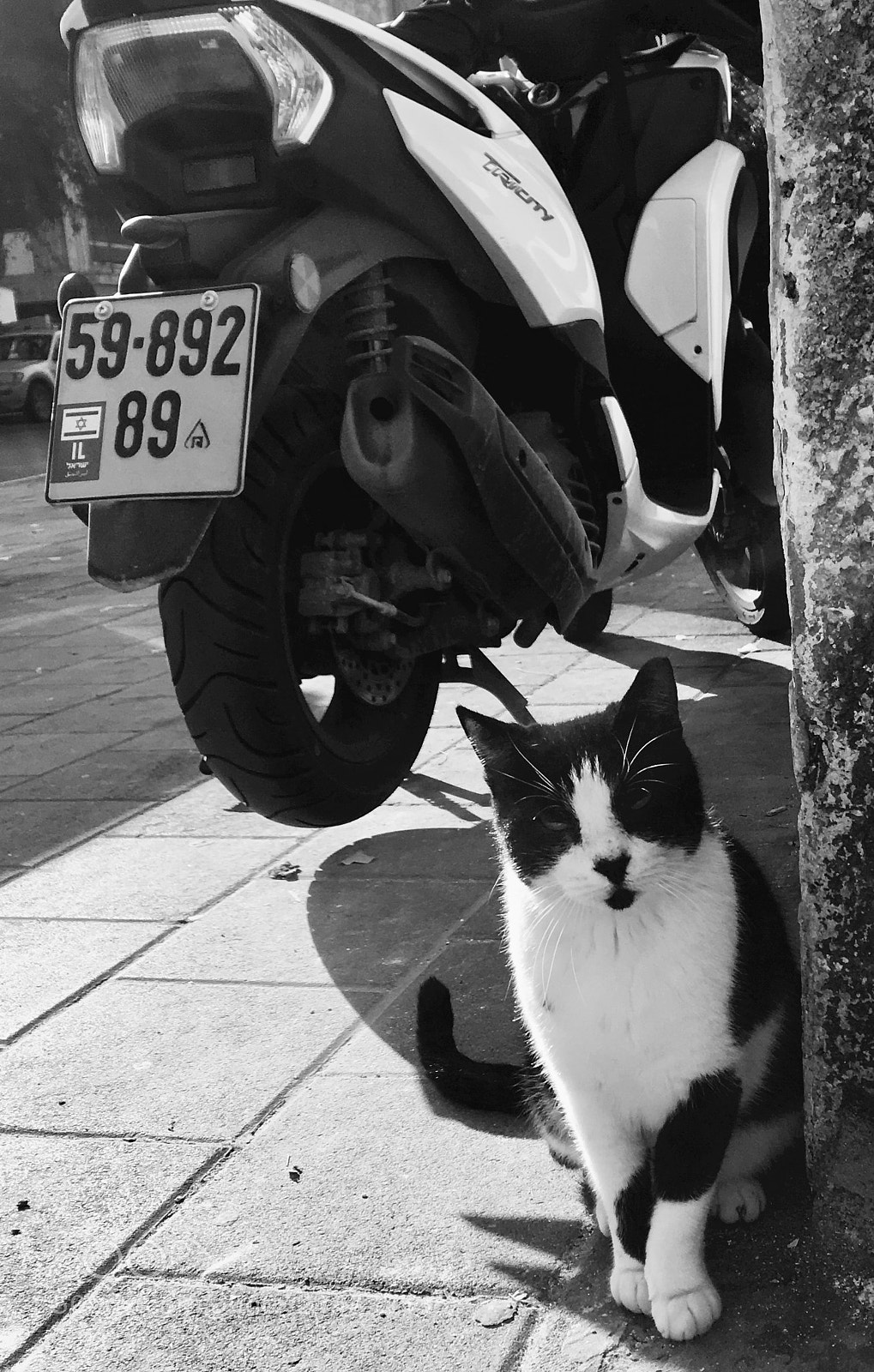 Apple iPhone SE sample photo. Black and white photography