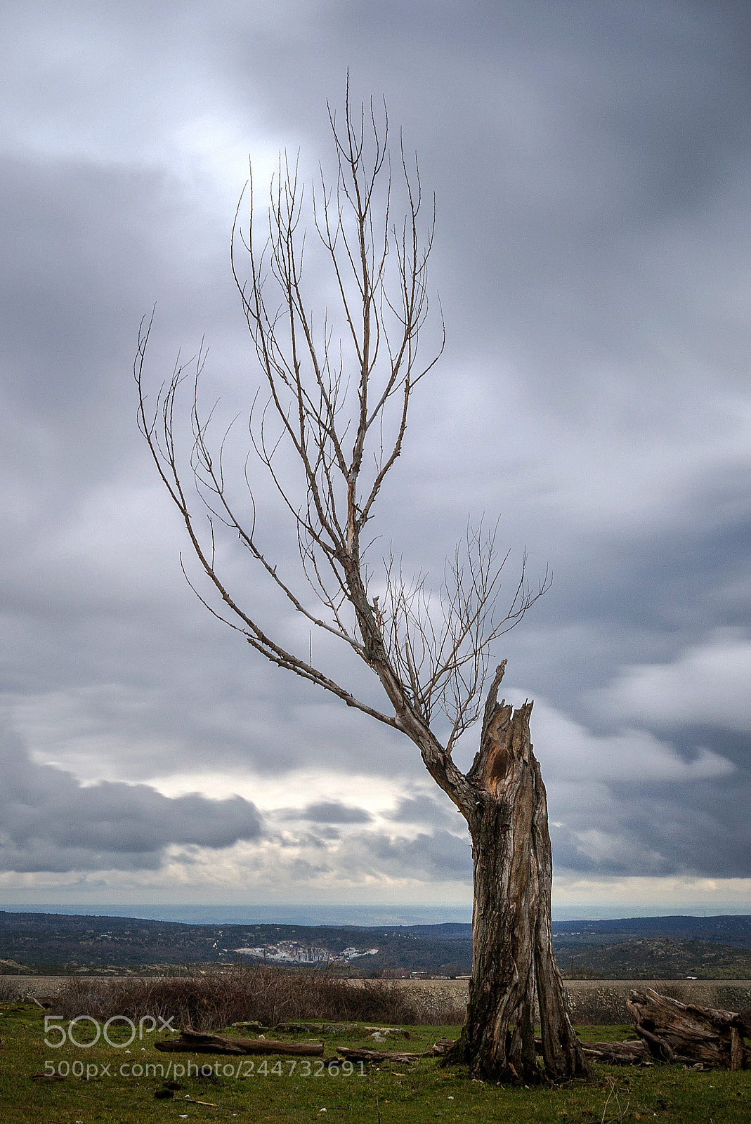 Nikon D3100 sample photo. "loneliness" photography
