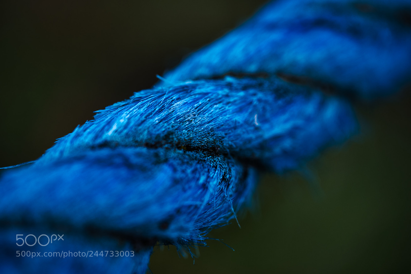 Fujifilm X-T1 sample photo. On a rope photography