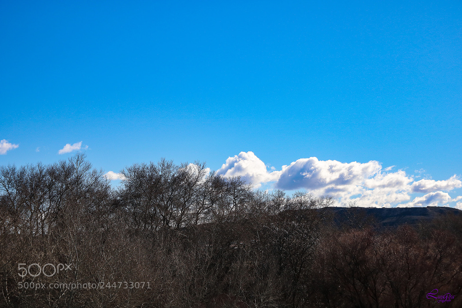 Canon EOS 750D (EOS Rebel T6i / EOS Kiss X8i) sample photo. Untitled photography