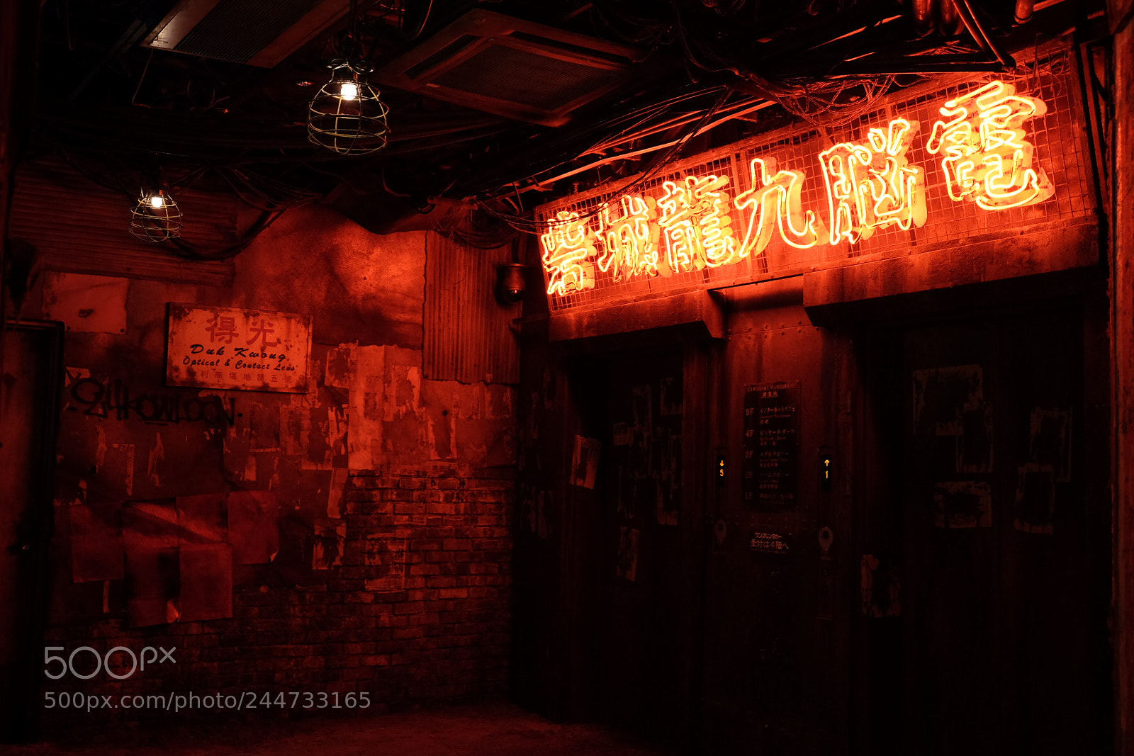 Fujifilm X-T1 sample photo. Red neon photography