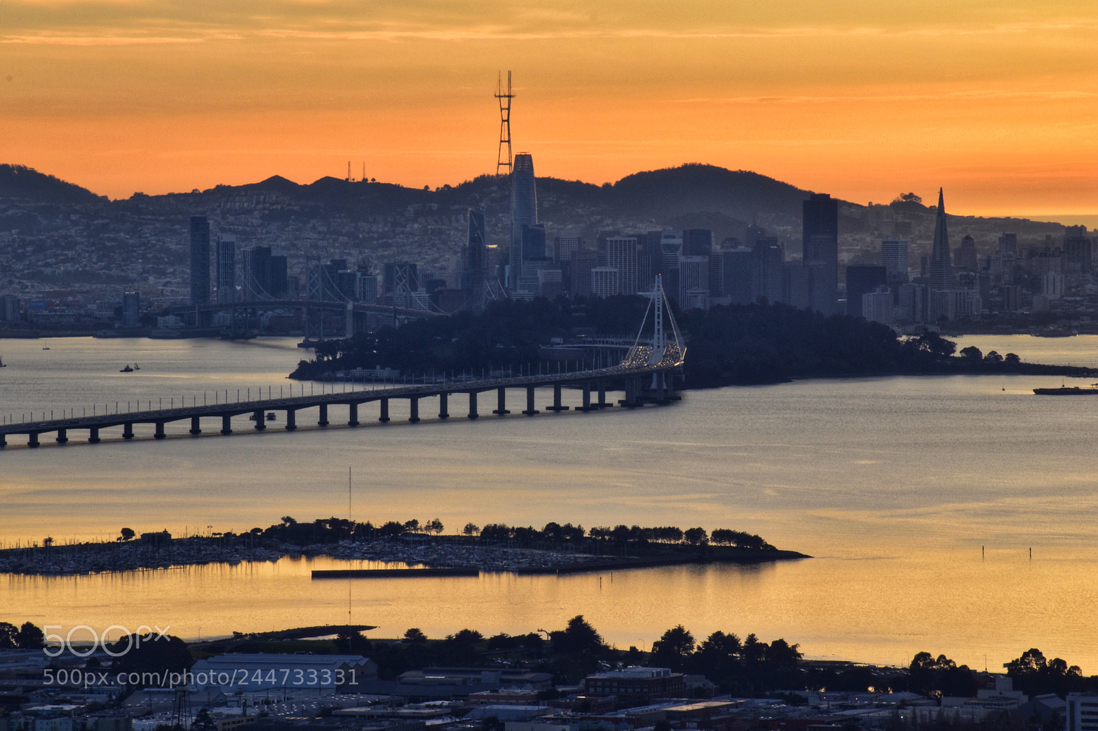 Nikon D5600 sample photo. Golden hour in berkeley photography