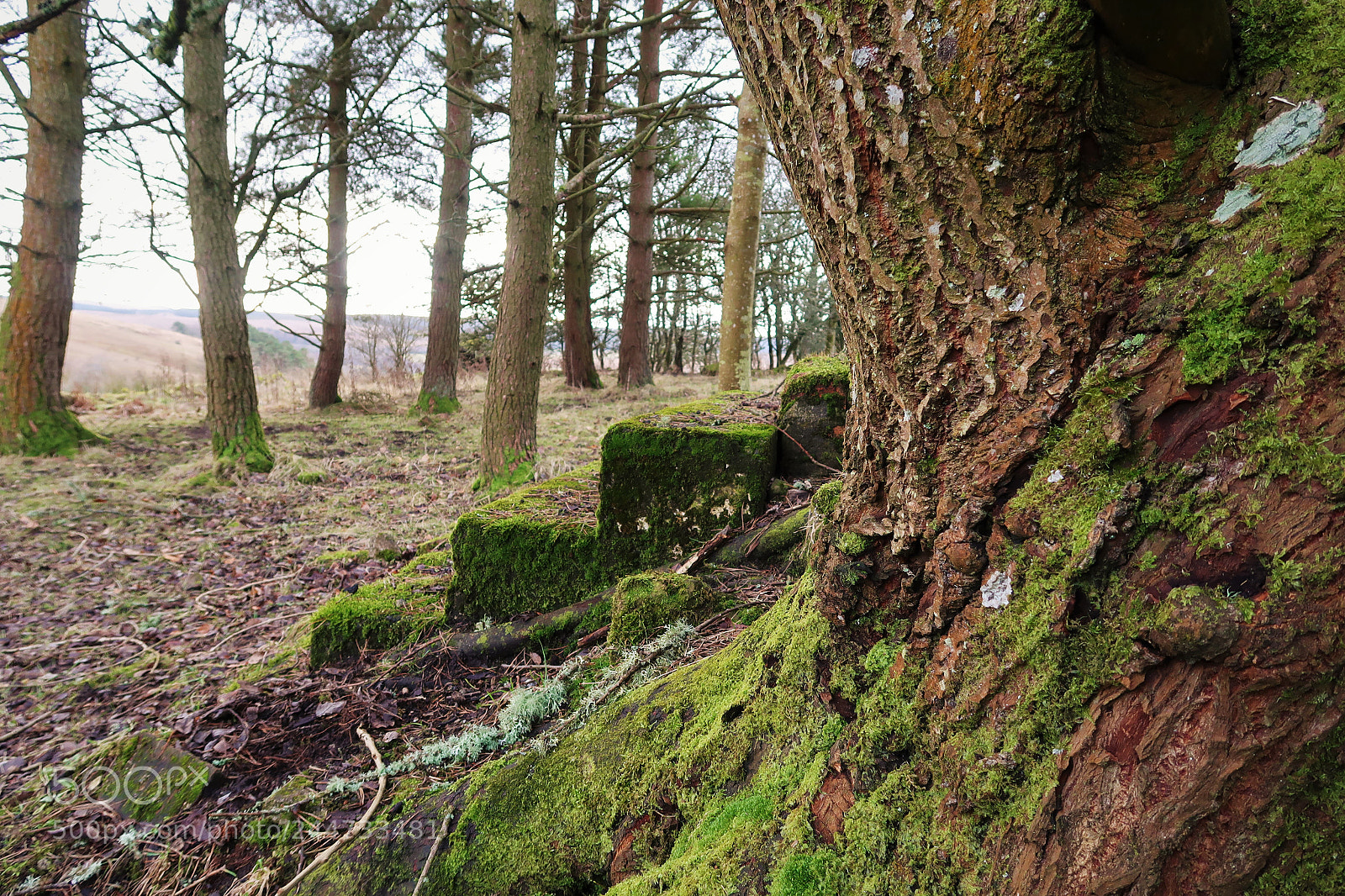 Canon PowerShot G7 X Mark II sample photo. Steps to nowhere photography