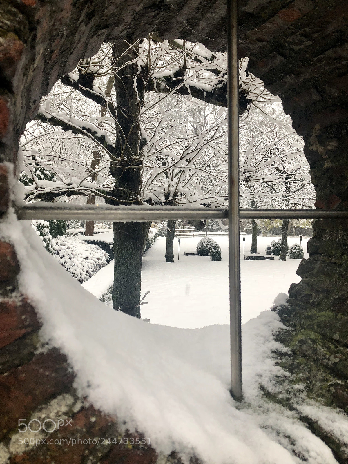 Apple iPhone 8 sample photo. Seethrough photography