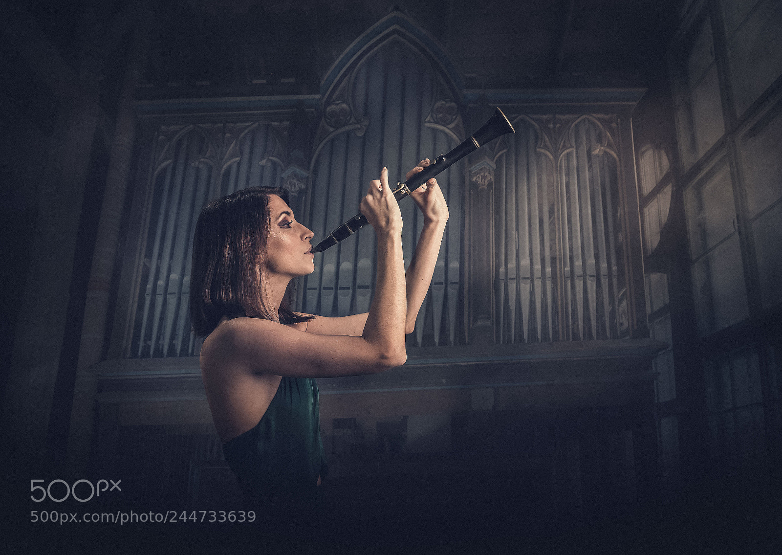 Fujifilm X-T2 sample photo. Organ player photography