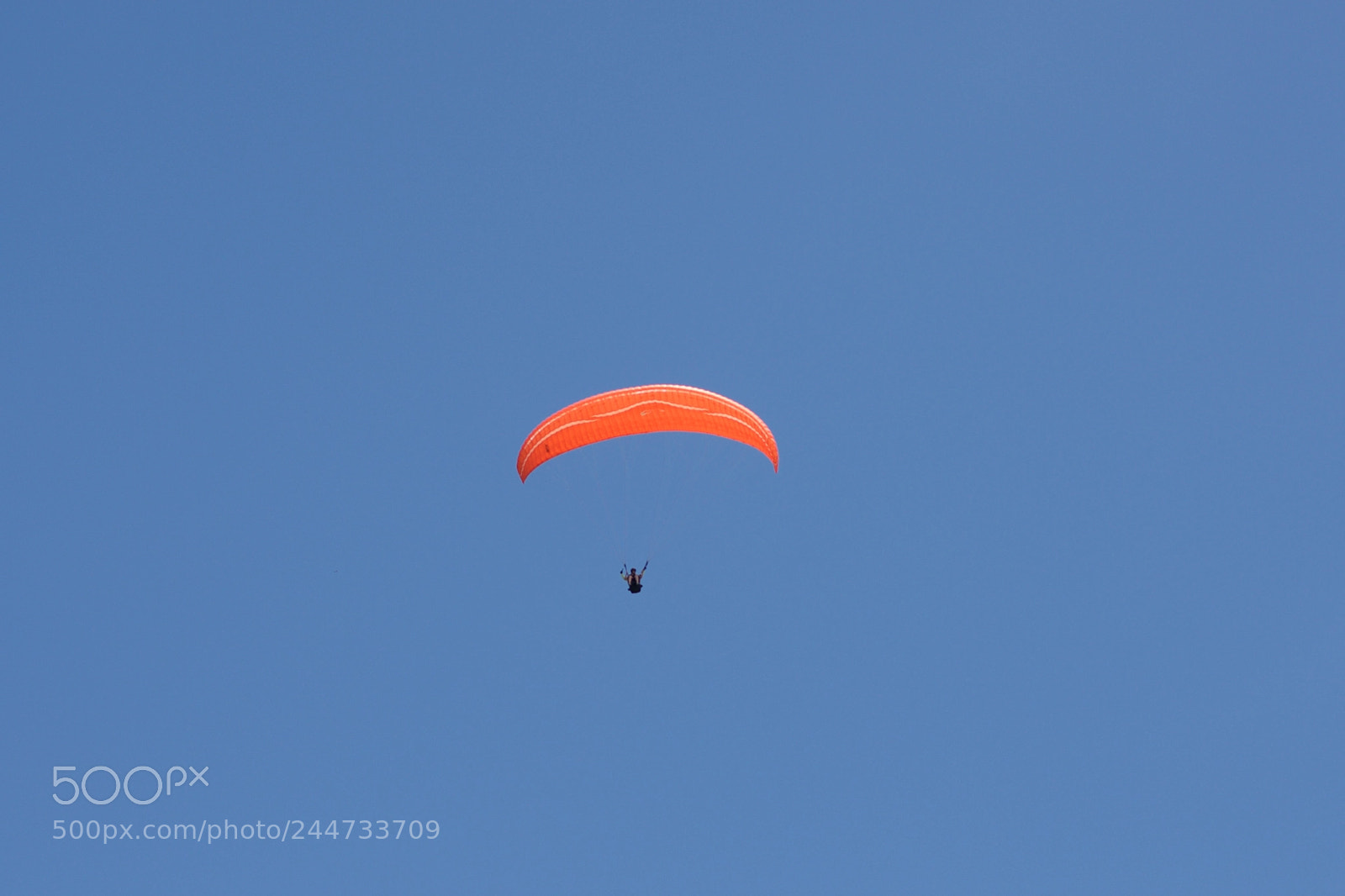 Nikon D610 sample photo. Paraglide in blue sky photography