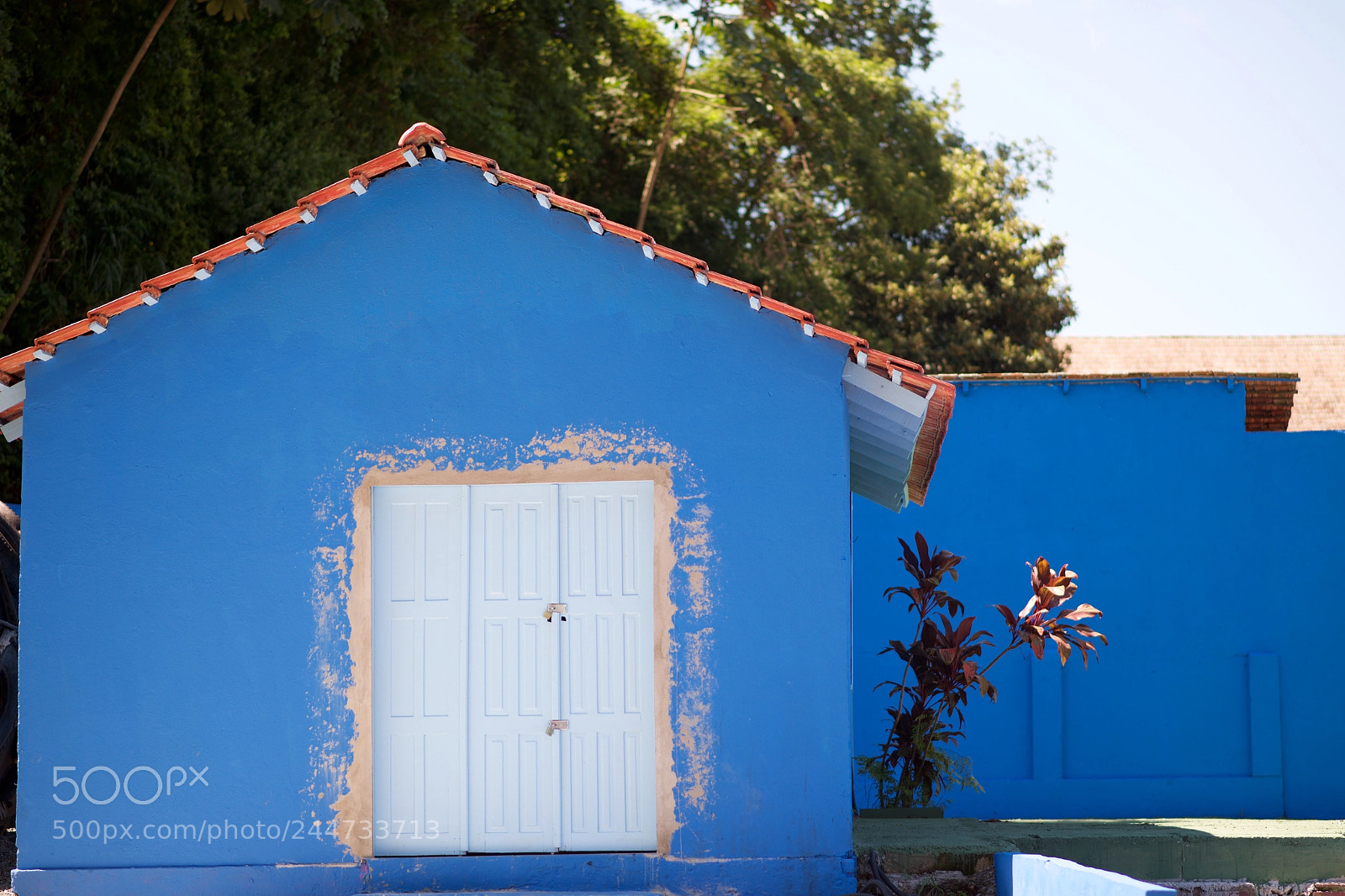 Nikon D610 sample photo. Blue house photography