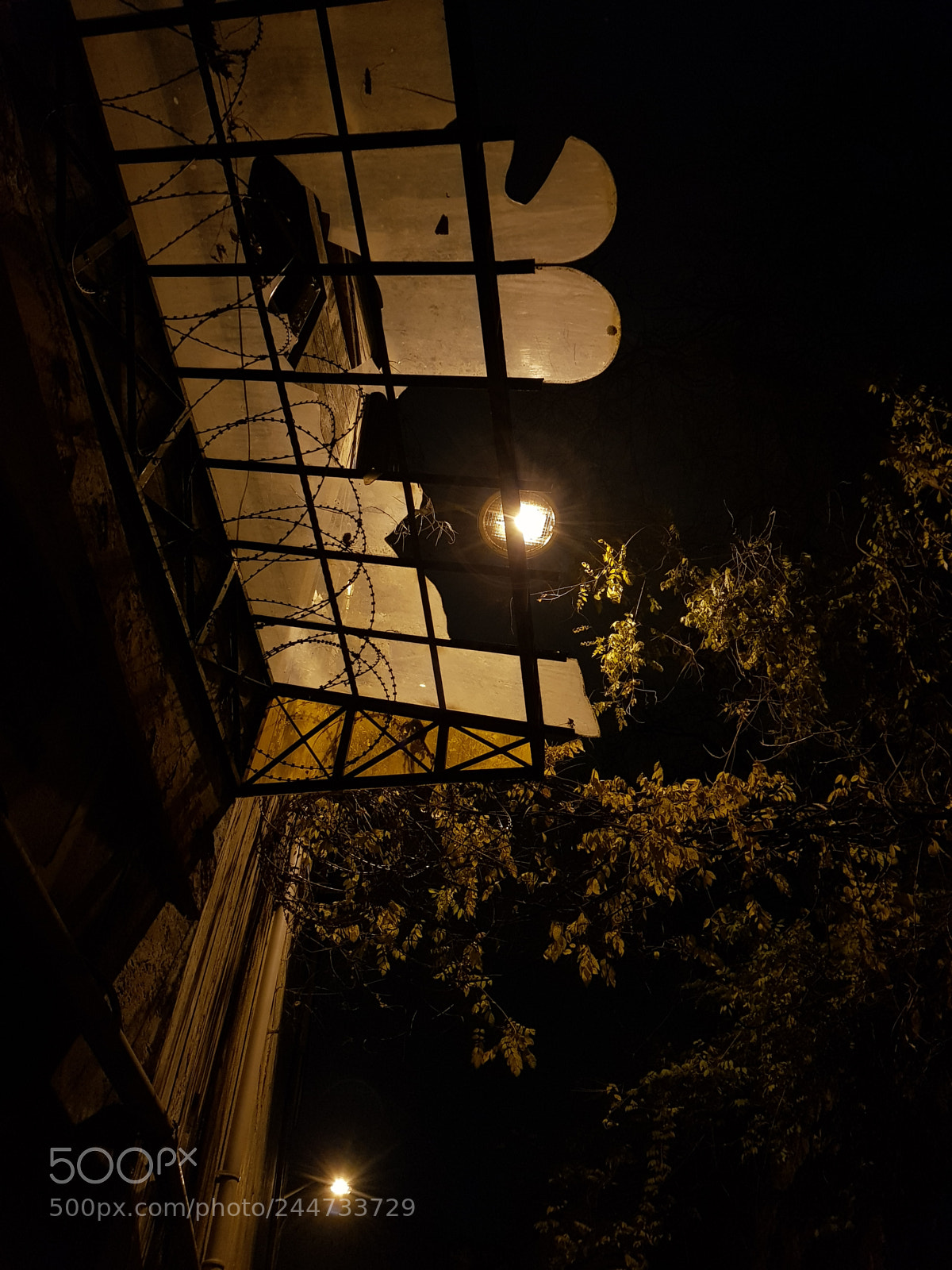 Samsung Galaxy S8 sample photo. Untitled photography