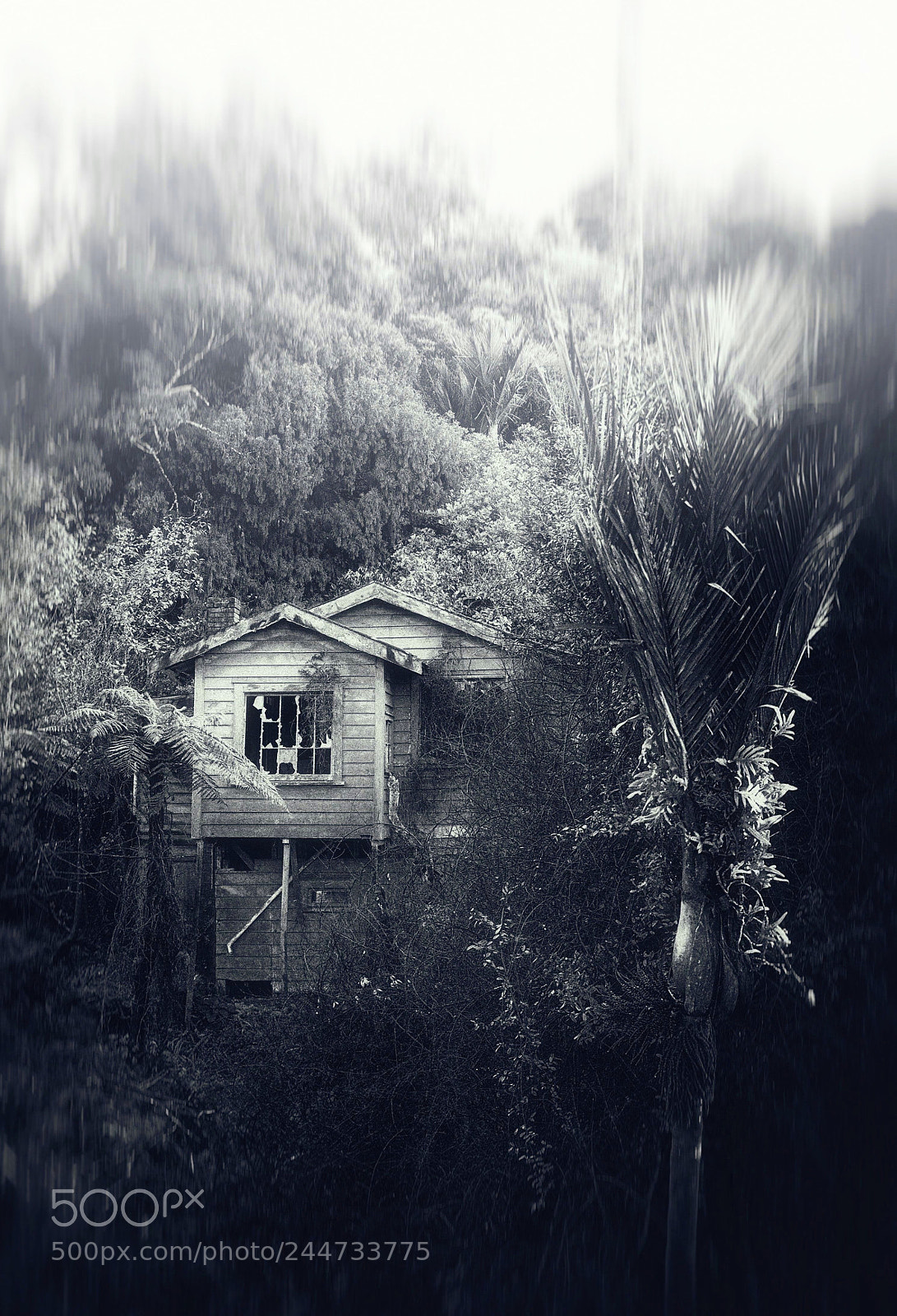 Nikon D610 sample photo. Haunted house photography