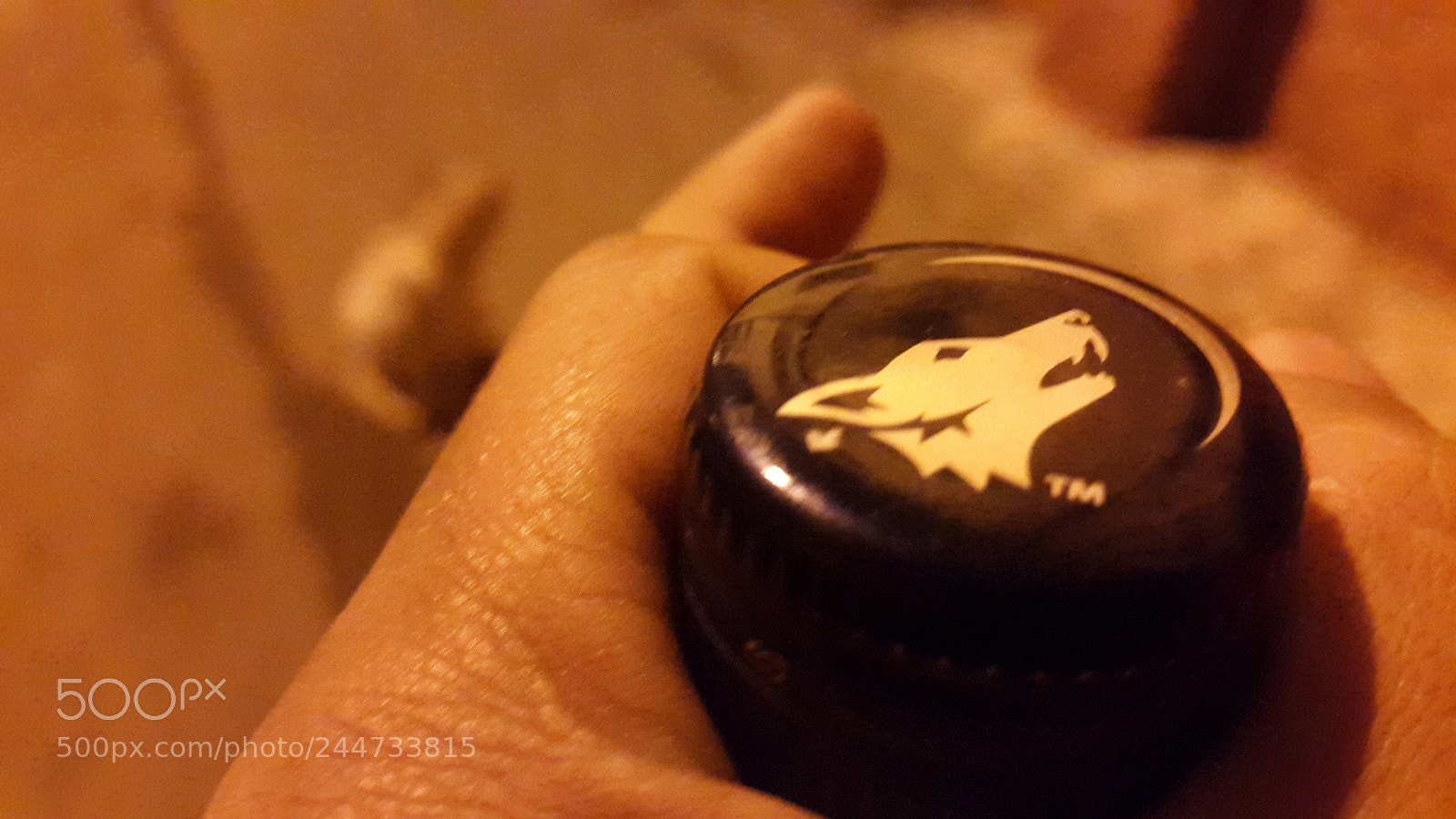 Samsung Galaxy S5 sample photo. Untitled photography