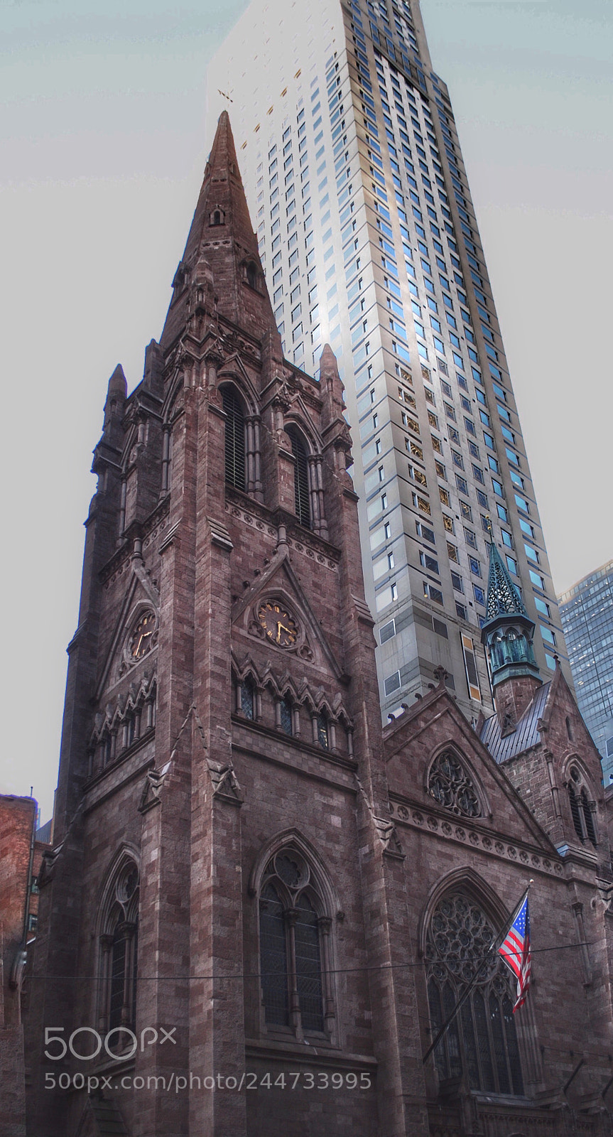 Nikon D3000 sample photo. Contrasts photography
