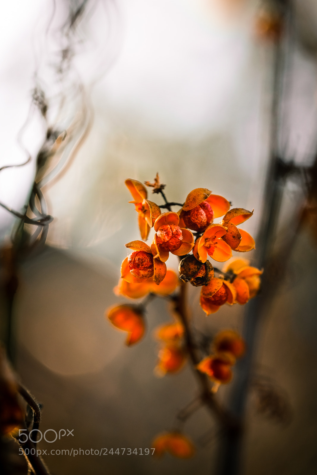 Fujifilm X-T1 sample photo. Painted with lights. photography