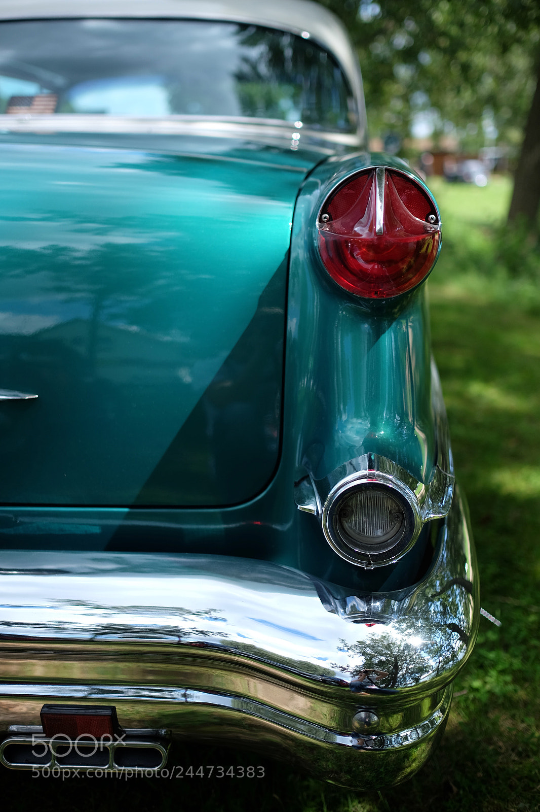 Fujifilm X-E2 sample photo. Here he comes photography