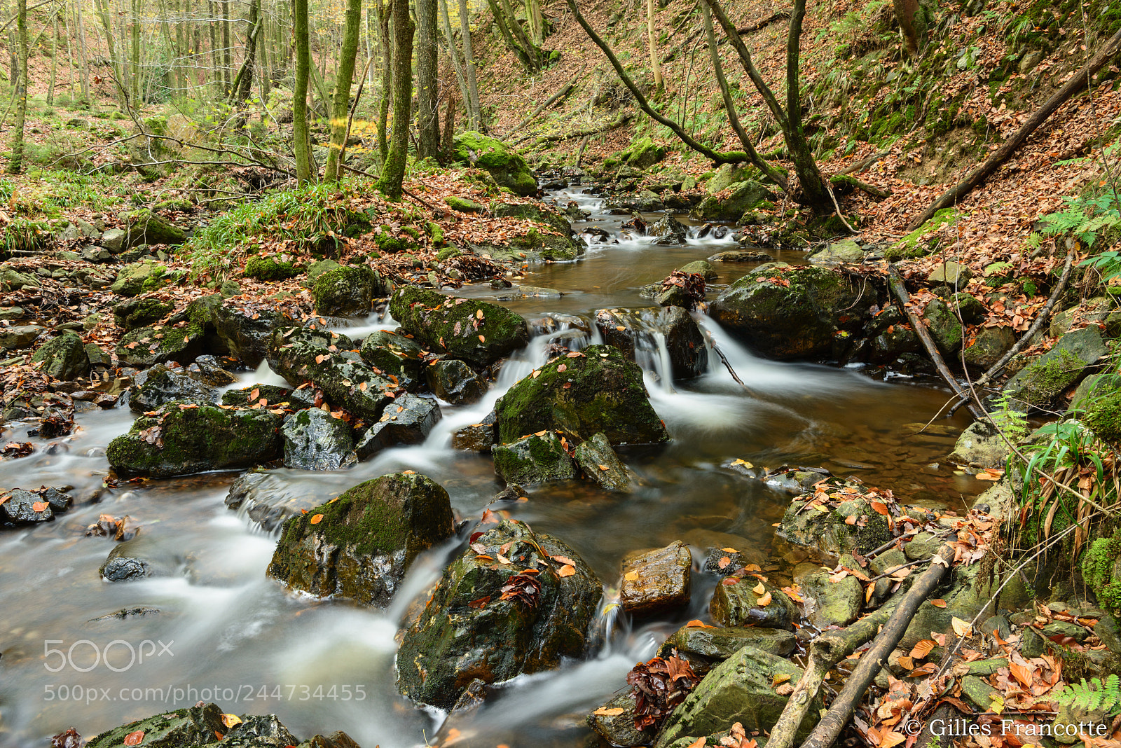 Nikon D800 sample photo. Chefna creek photography