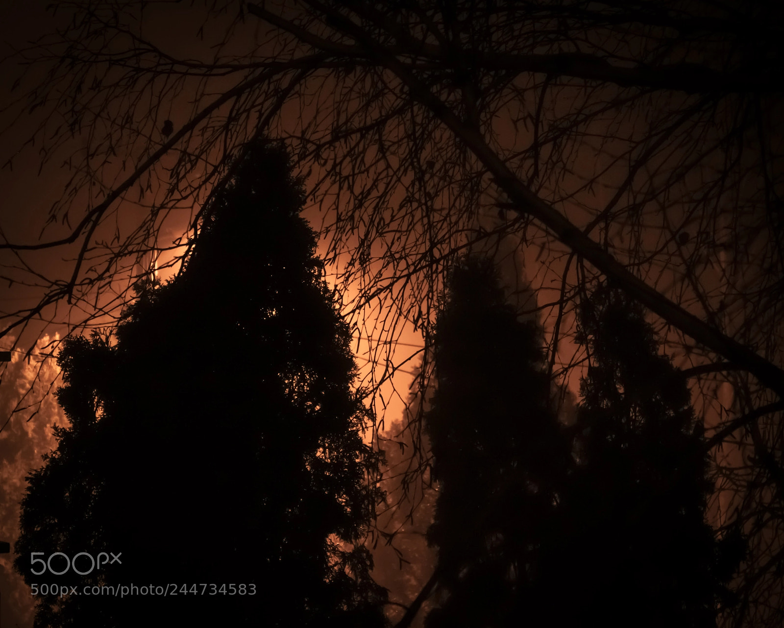 Canon EOS 500D (EOS Rebel T1i / EOS Kiss X3) sample photo. Shadows and fog photography