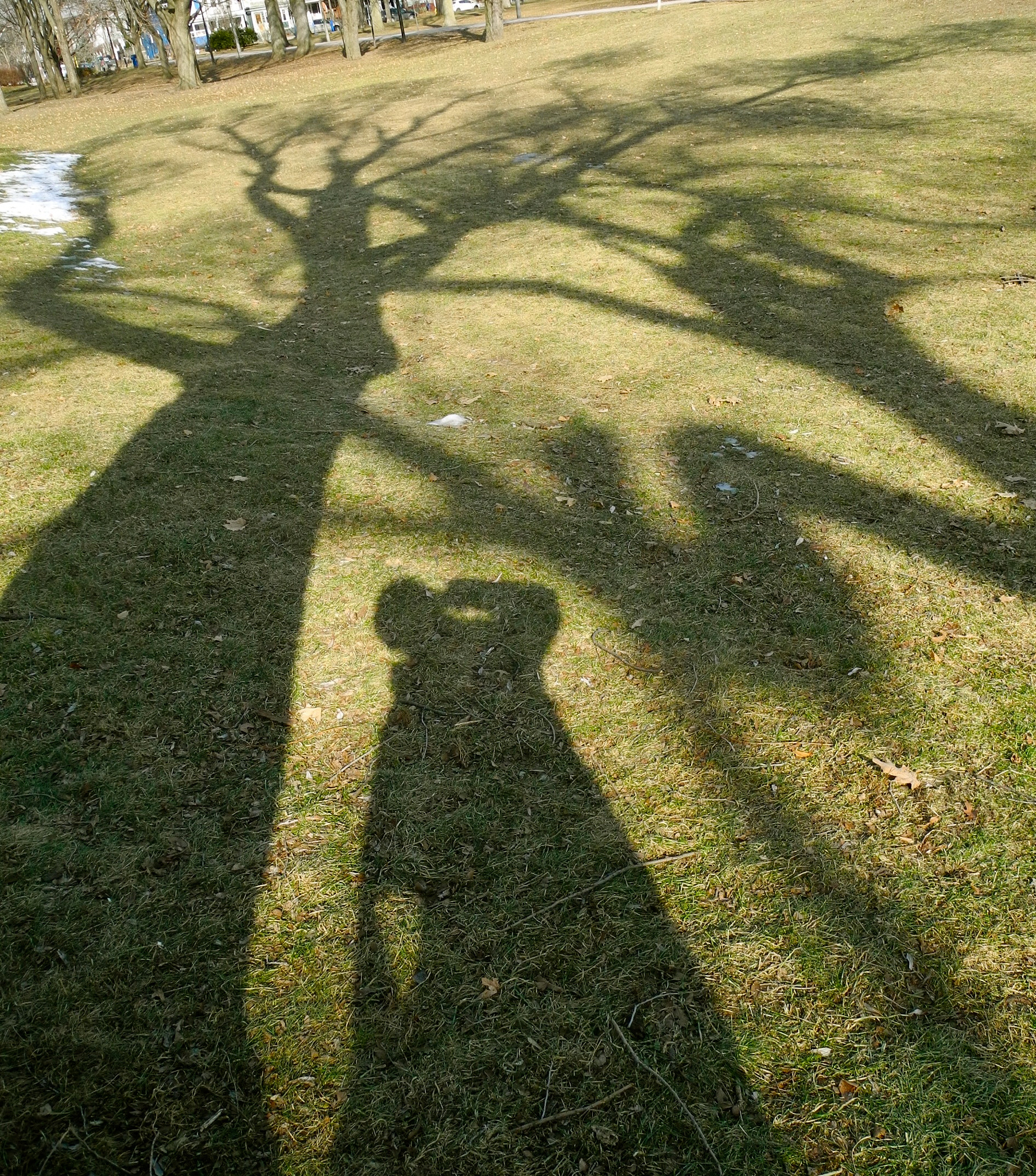 Nikon Coolpix P7100 sample photo. Portrait with tree shadows photography