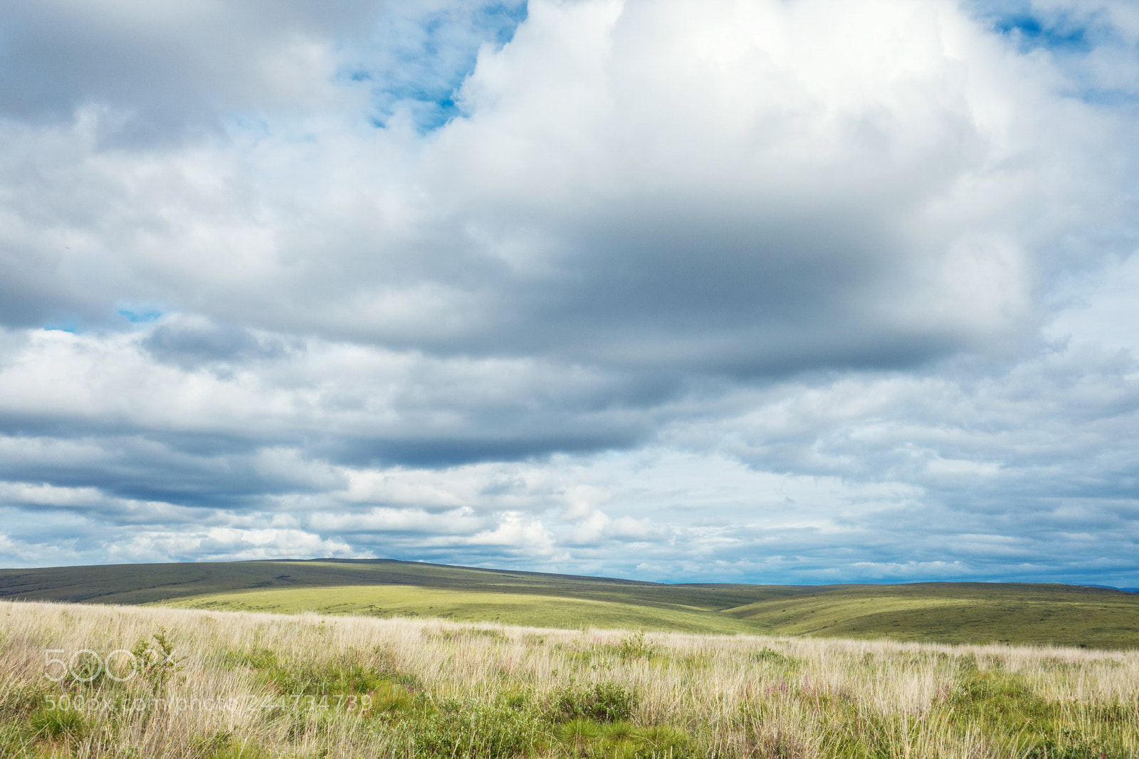 Sony Cyber-shot DSC-RX100 II sample photo. In the tundra photography