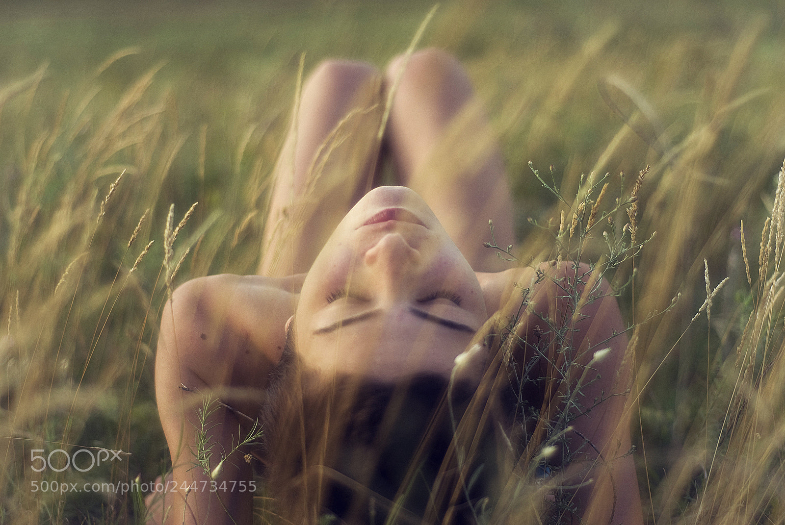 Nikon D200 sample photo. Calmness photography
