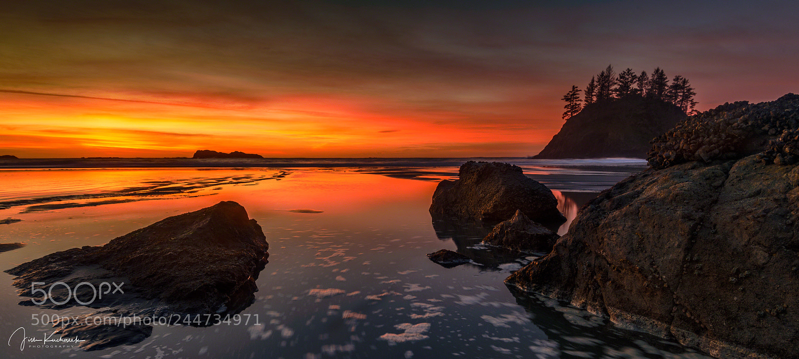 Nikon D810 sample photo. Cloaked in twilight photography