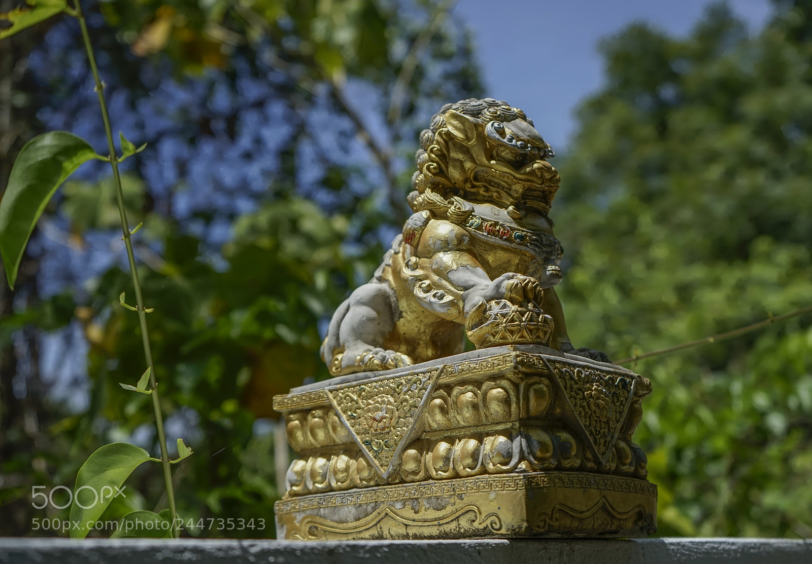 Sony a7R sample photo. Untitled photography