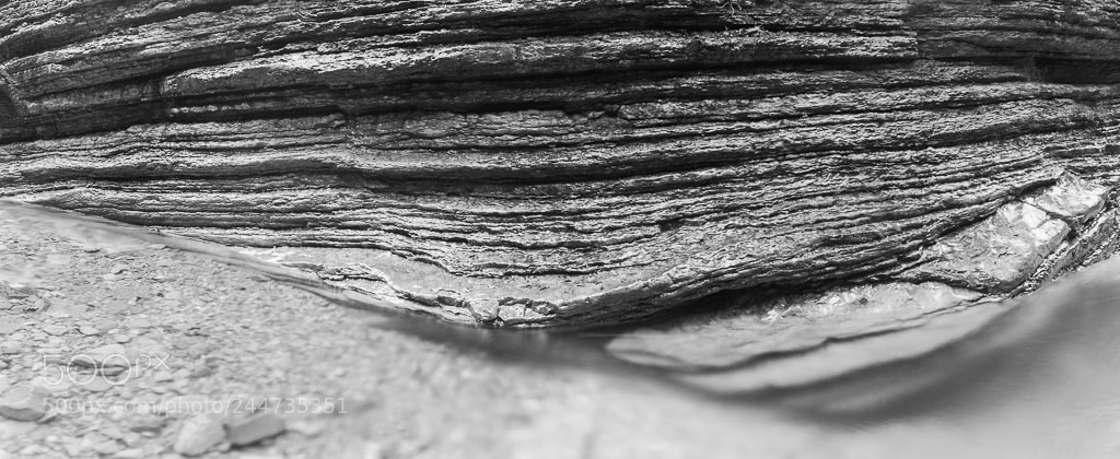 Nikon D700 sample photo. Taugl photography