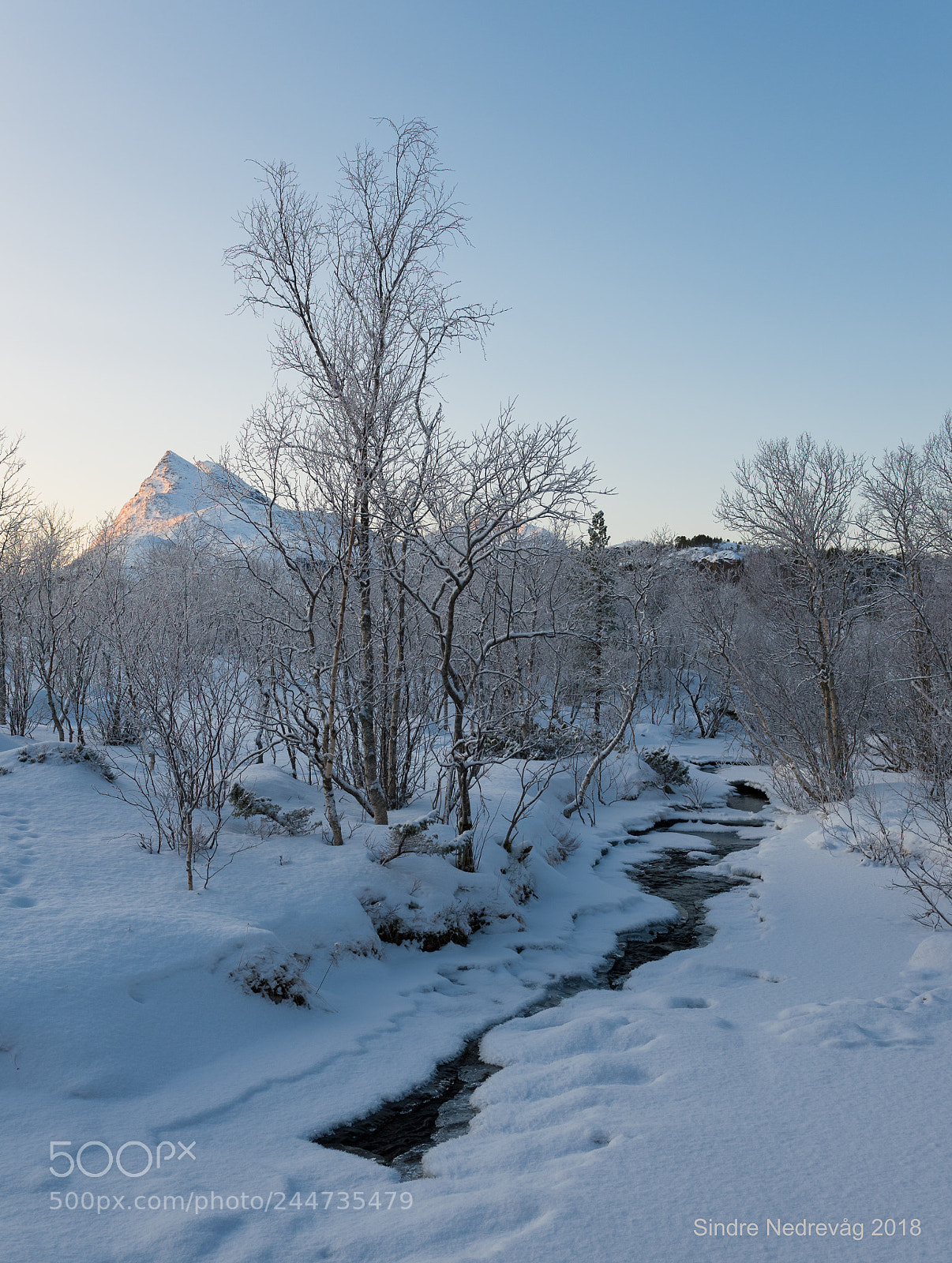 Nikon D4 sample photo. Winter at stordalen landscape photography