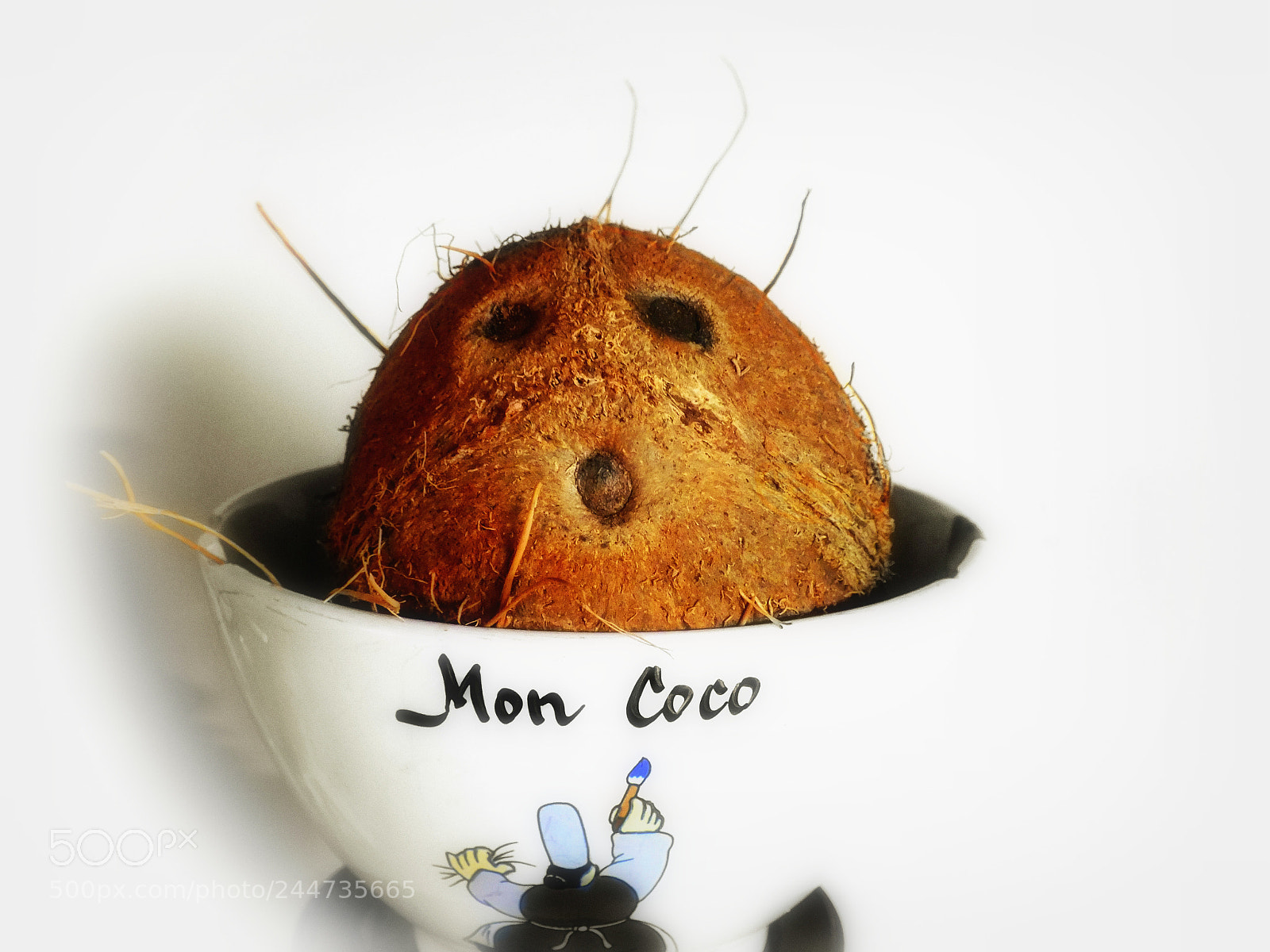 FujiFilm FinePix HS20 EXR (FinePix HS22 EXR) sample photo. Coco nut photography