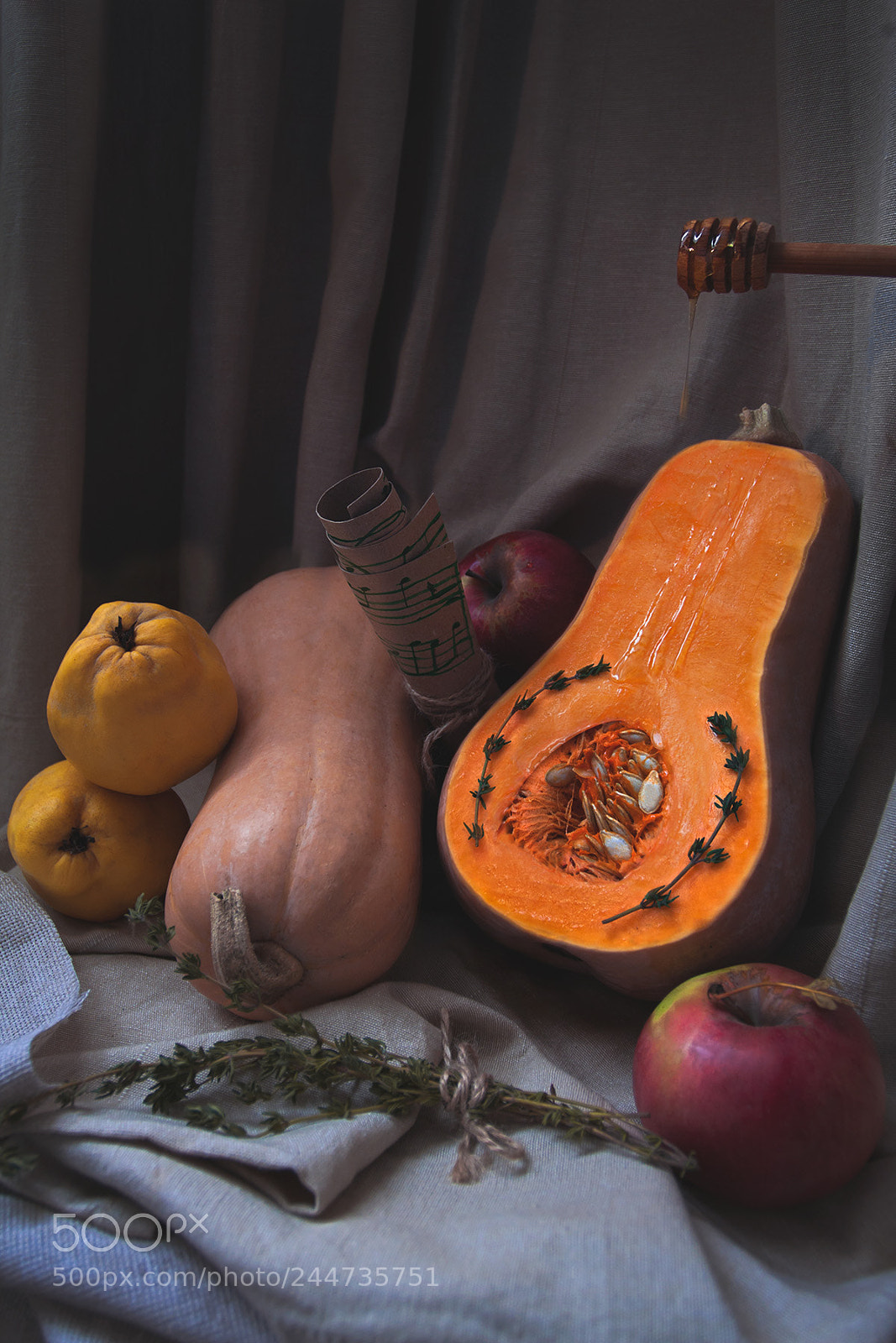 Canon EOS 500D (EOS Rebel T1i / EOS Kiss X3) sample photo. Butternut squash photography