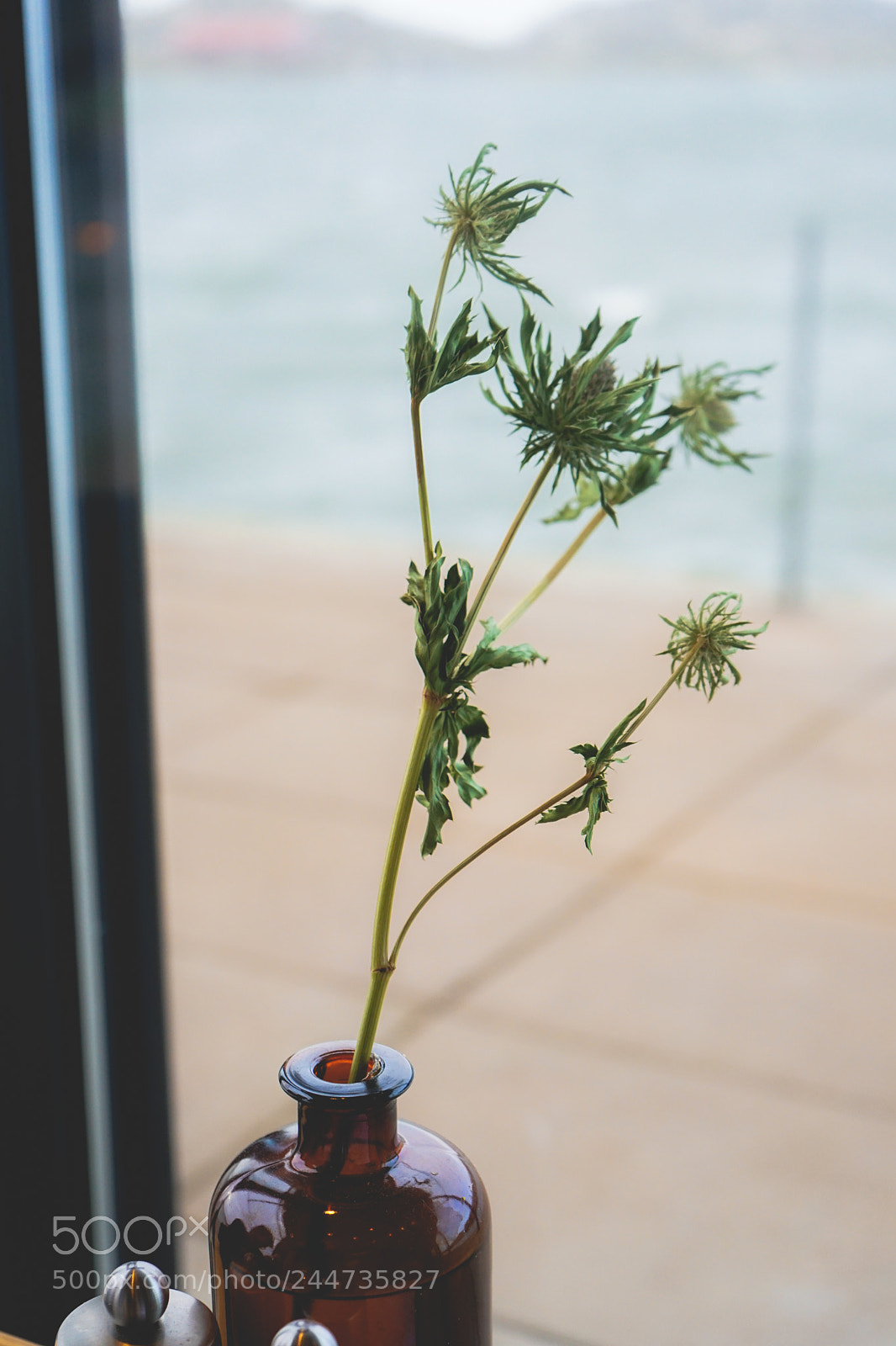 Sony a7 II sample photo. Details photography