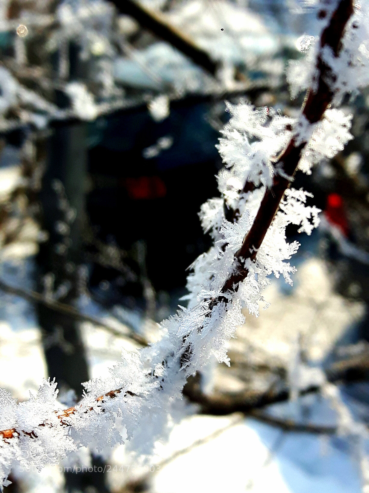 Samsung Galaxy S5 Neo sample photo. Untitled photography