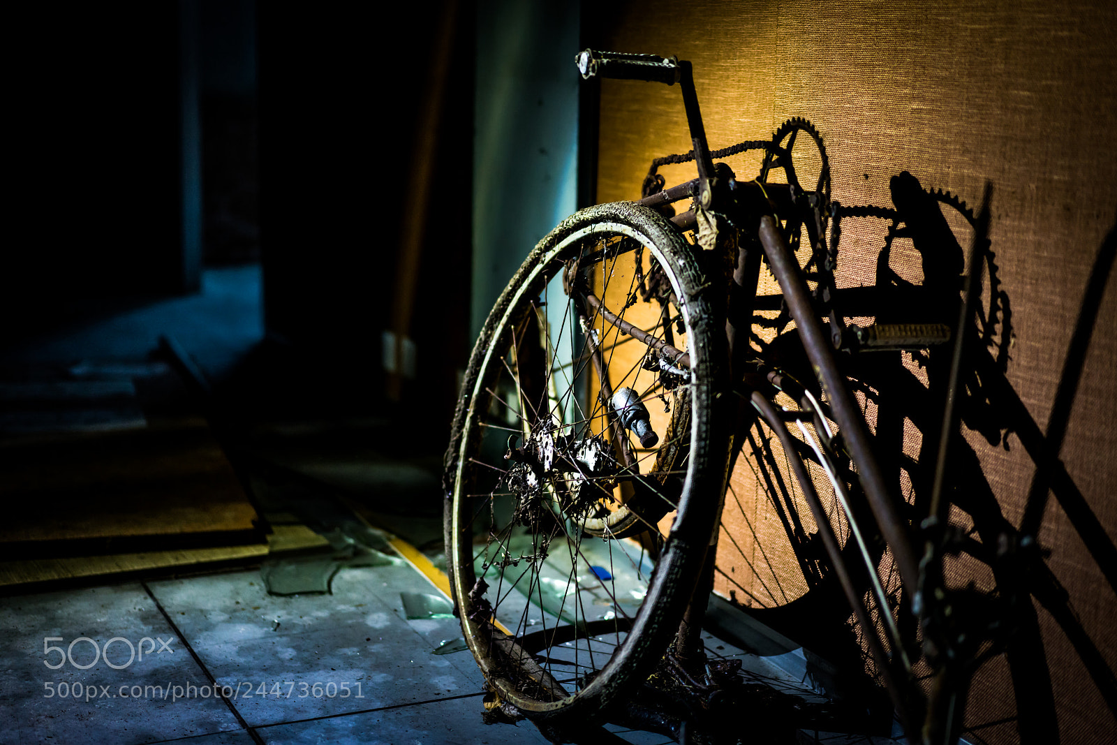 Sony a7R III sample photo. Old broken bike in photography