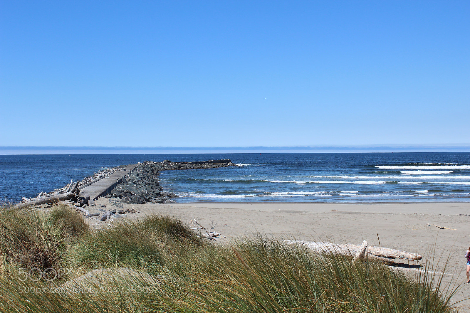 Canon EOS 1200D (EOS Rebel T5 / EOS Kiss X70 / EOS Hi) sample photo. Coquille river lighthouse views photography