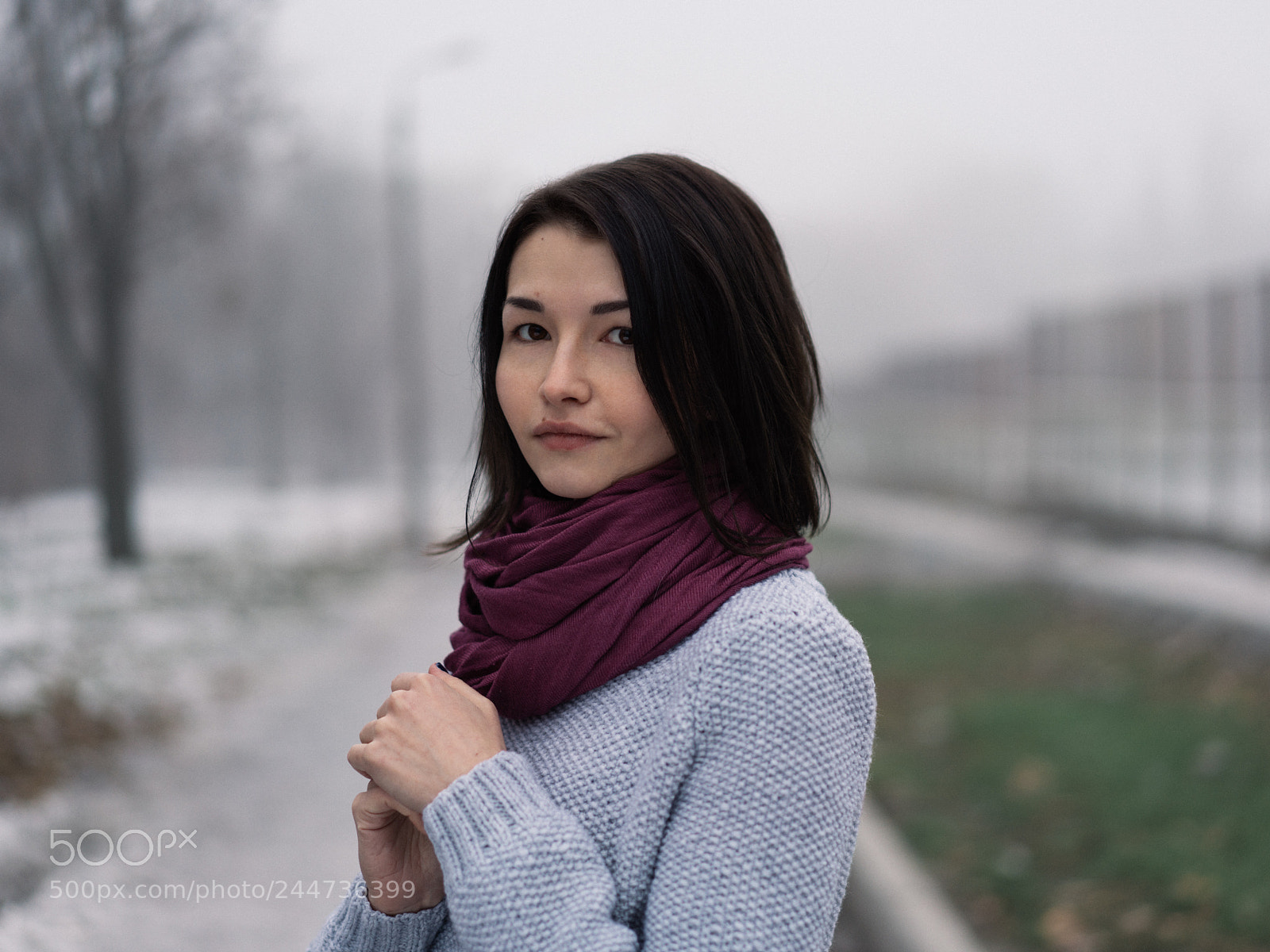 Sony a7R II sample photo. 263/365 photography