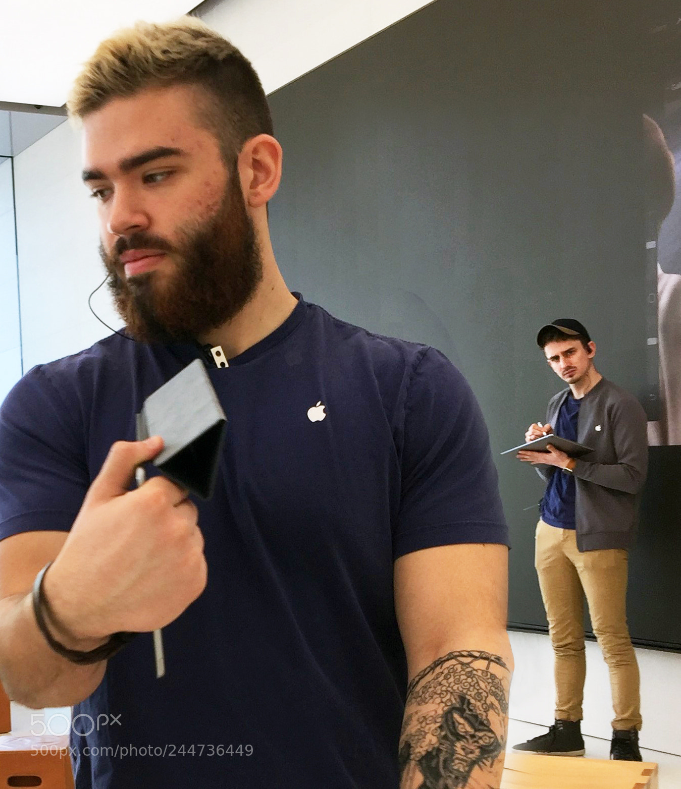 Apple iPhone 6 Plus sample photo. Apple store workers photography