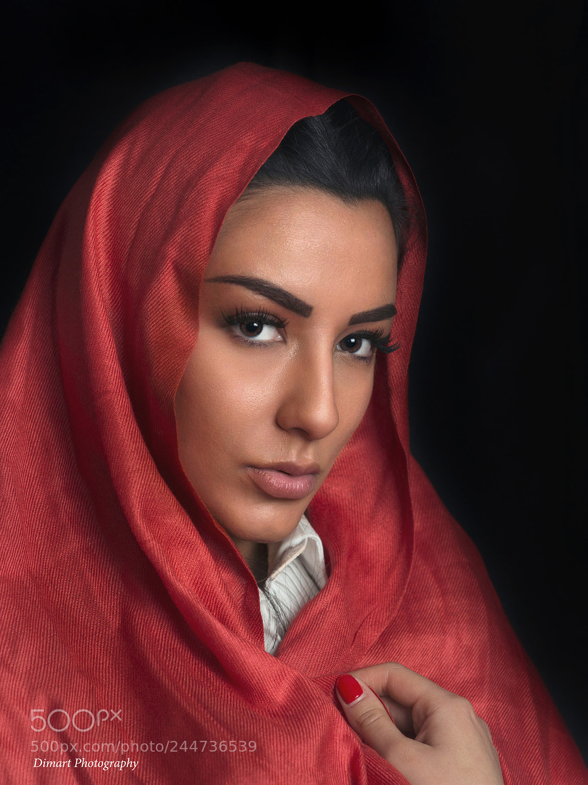 Nikon D800 sample photo. The girl with the photography
